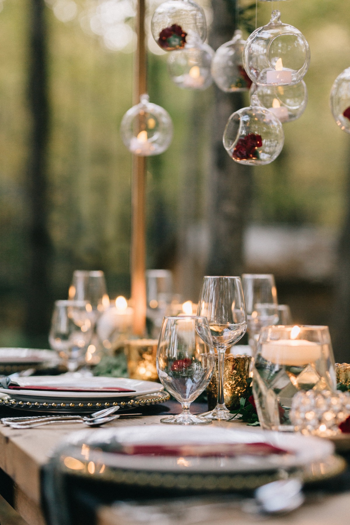 enchanted-forest_cgds7473