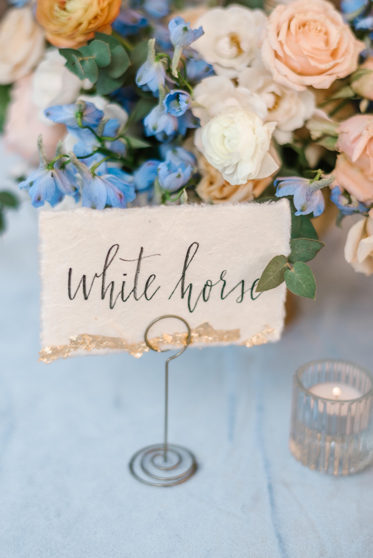 jholtfort-photography-colorful-cacti-wed