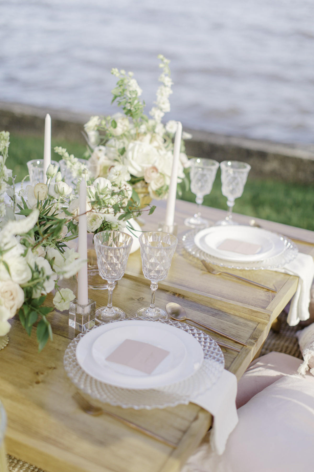 junophoto_picnic_elopement_wedding_chick