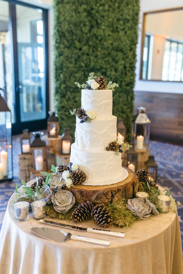 outdoor mountain wedding cake