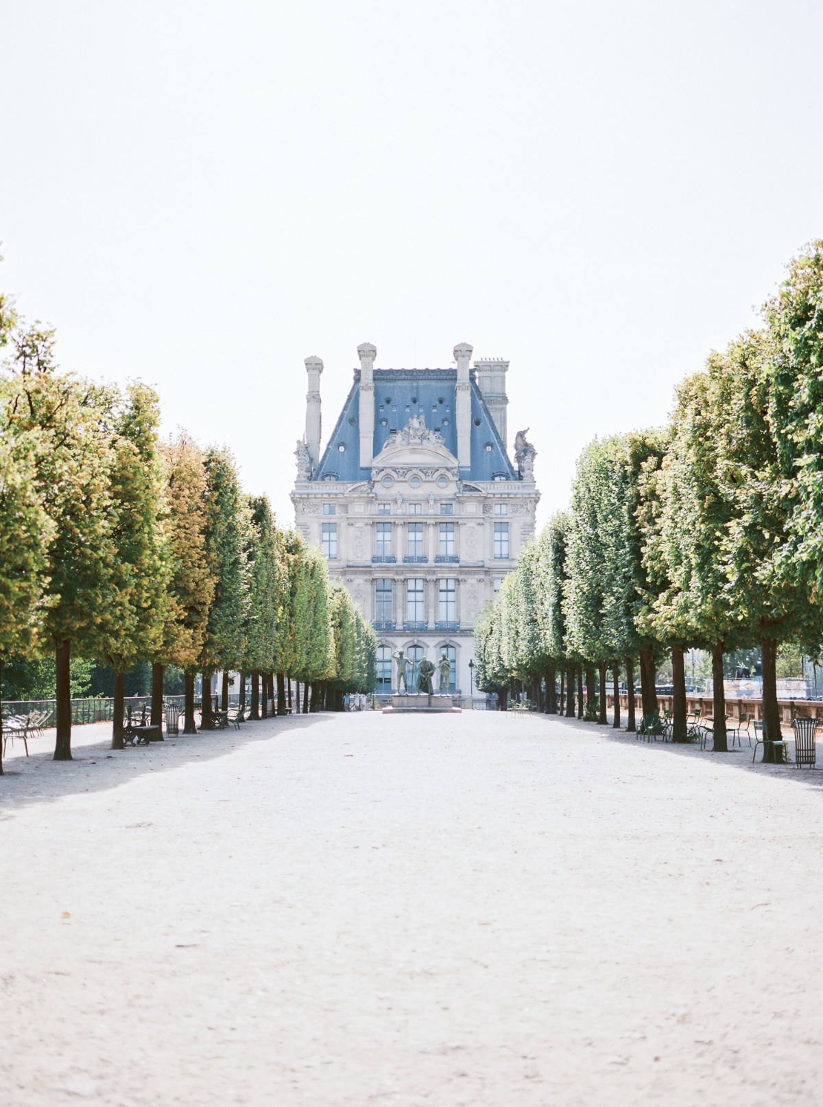 Formal Parisian building framed by lined trees in the park