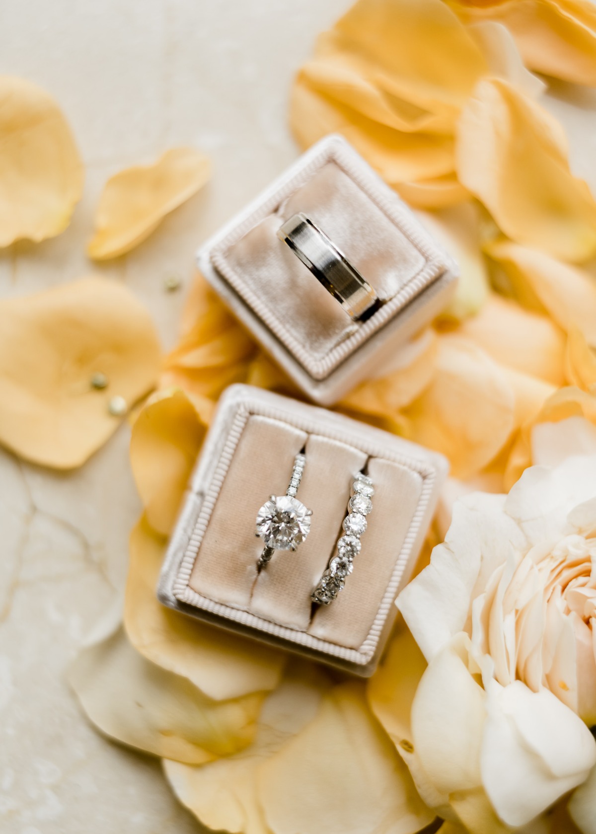 Elegant wedding rings in velvet boxes with rose petals