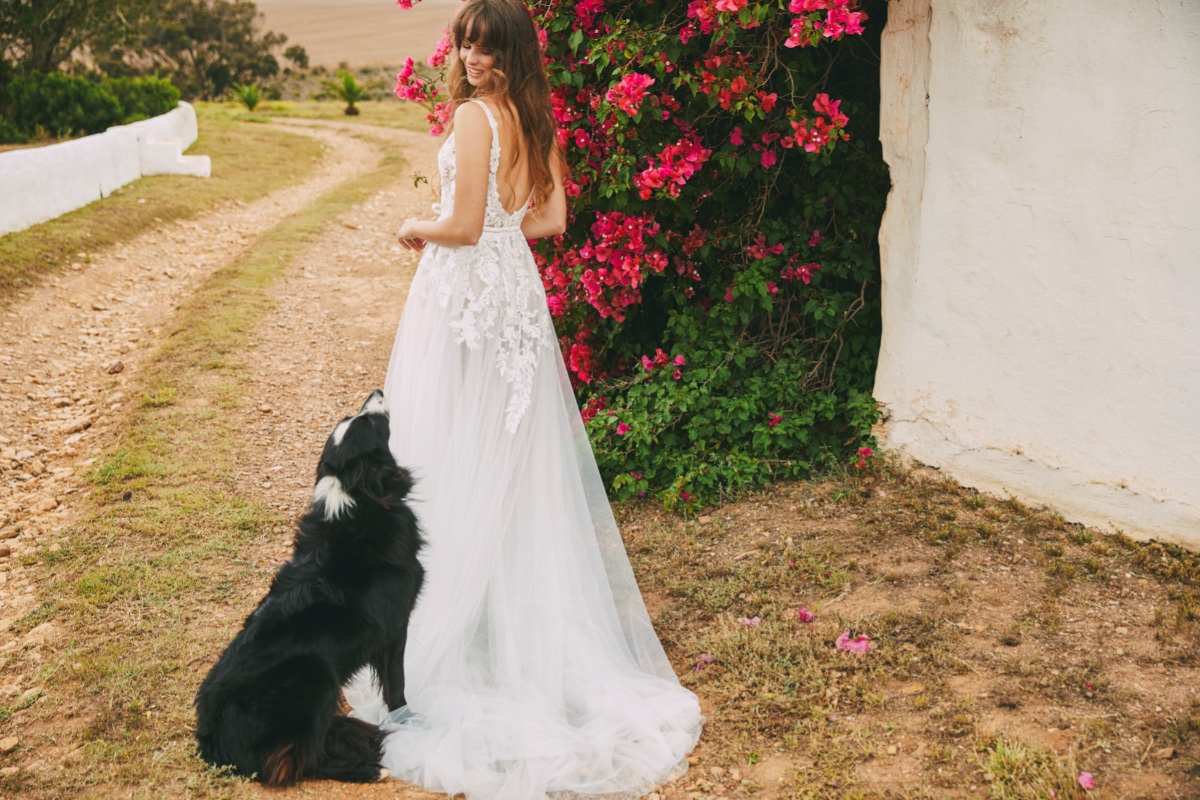 2021-romance-collection_viola-gown_back