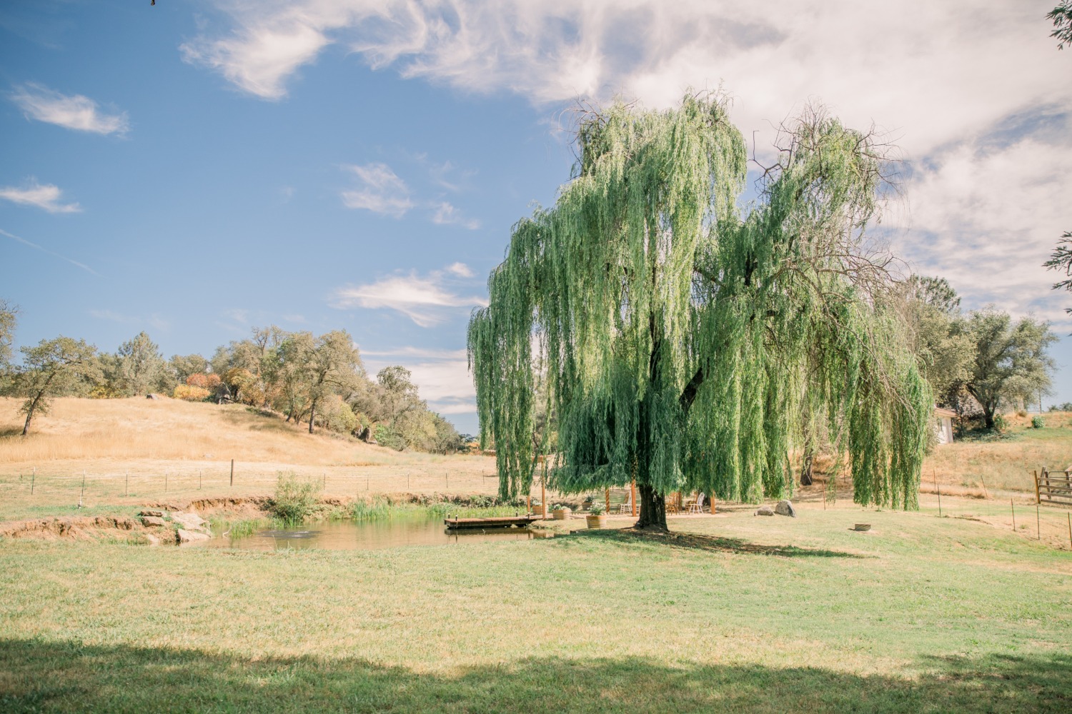 a-family-farm-elopement