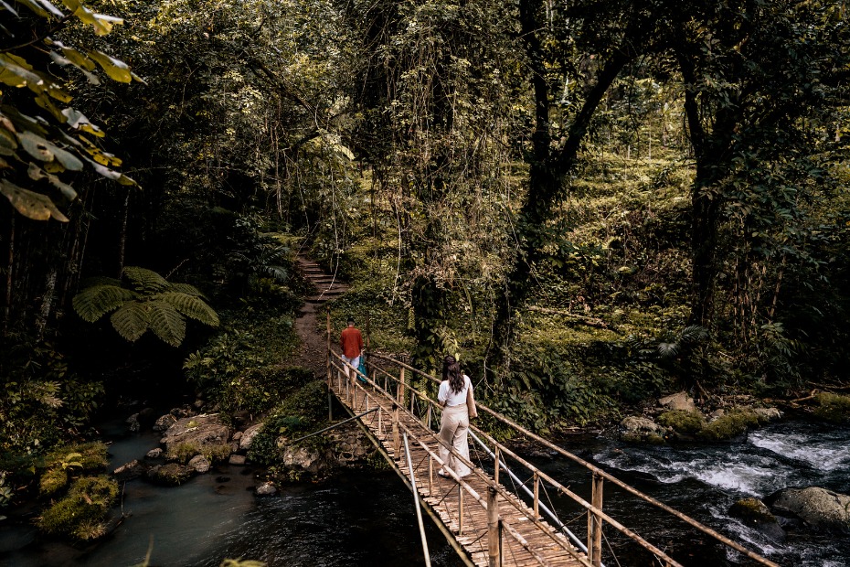Couple walking on a wooden bridge in a lush green forest