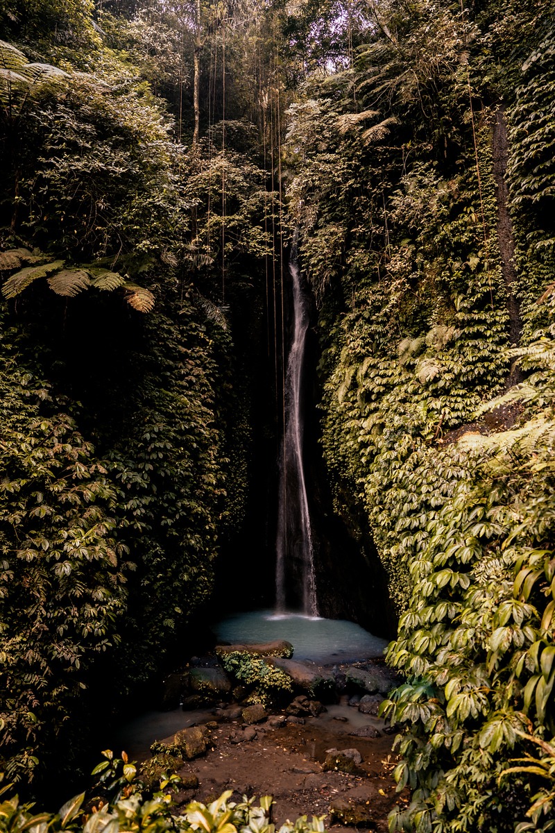 Waterfall cascading into a serene pool, framed by lush tropical plants