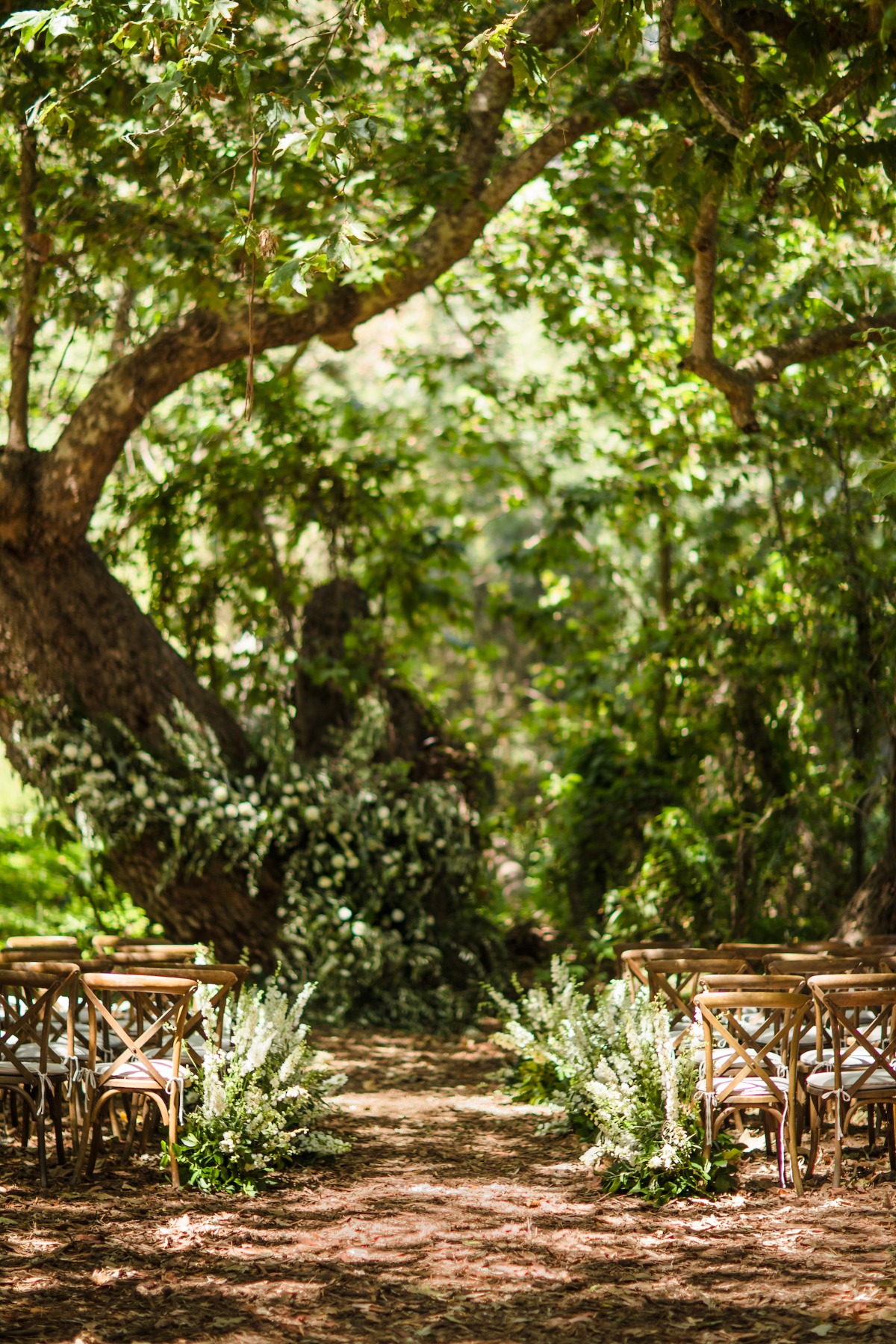 brandonbarbwedding-289