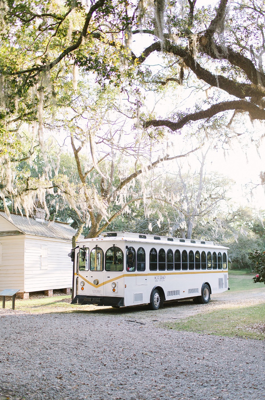 White trolley bus under mossy trees at a park destination
