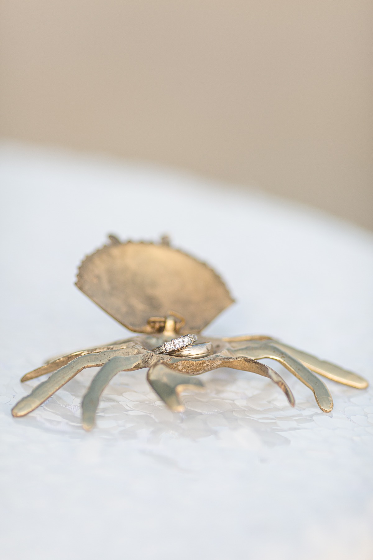 crap ring holder