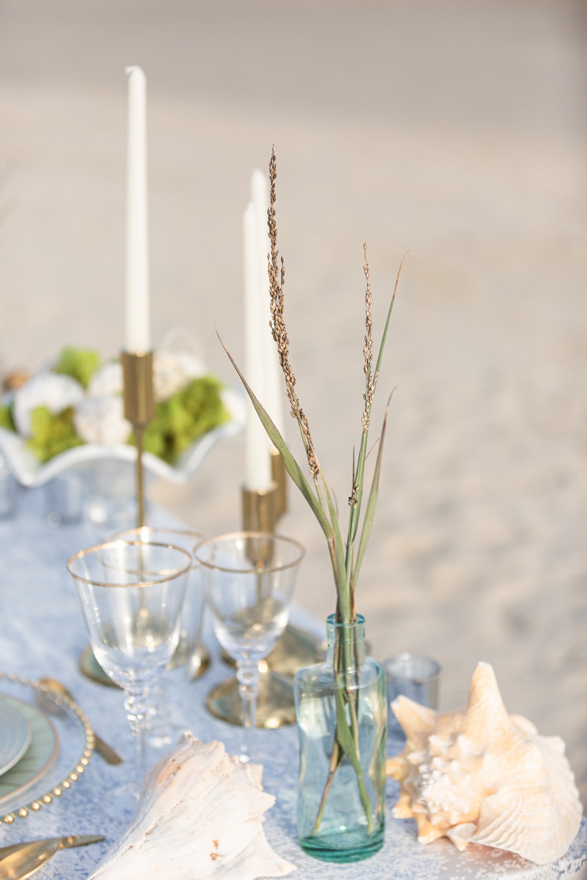 sea grass placed in glass bottle
