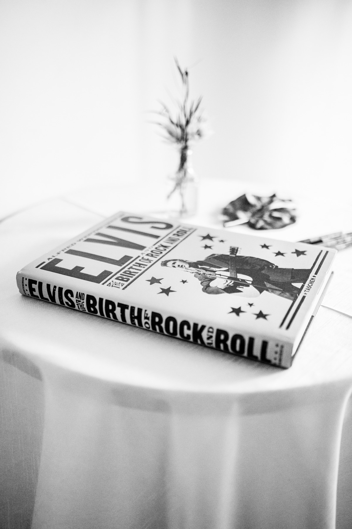 Elvis Rock and Roll Book