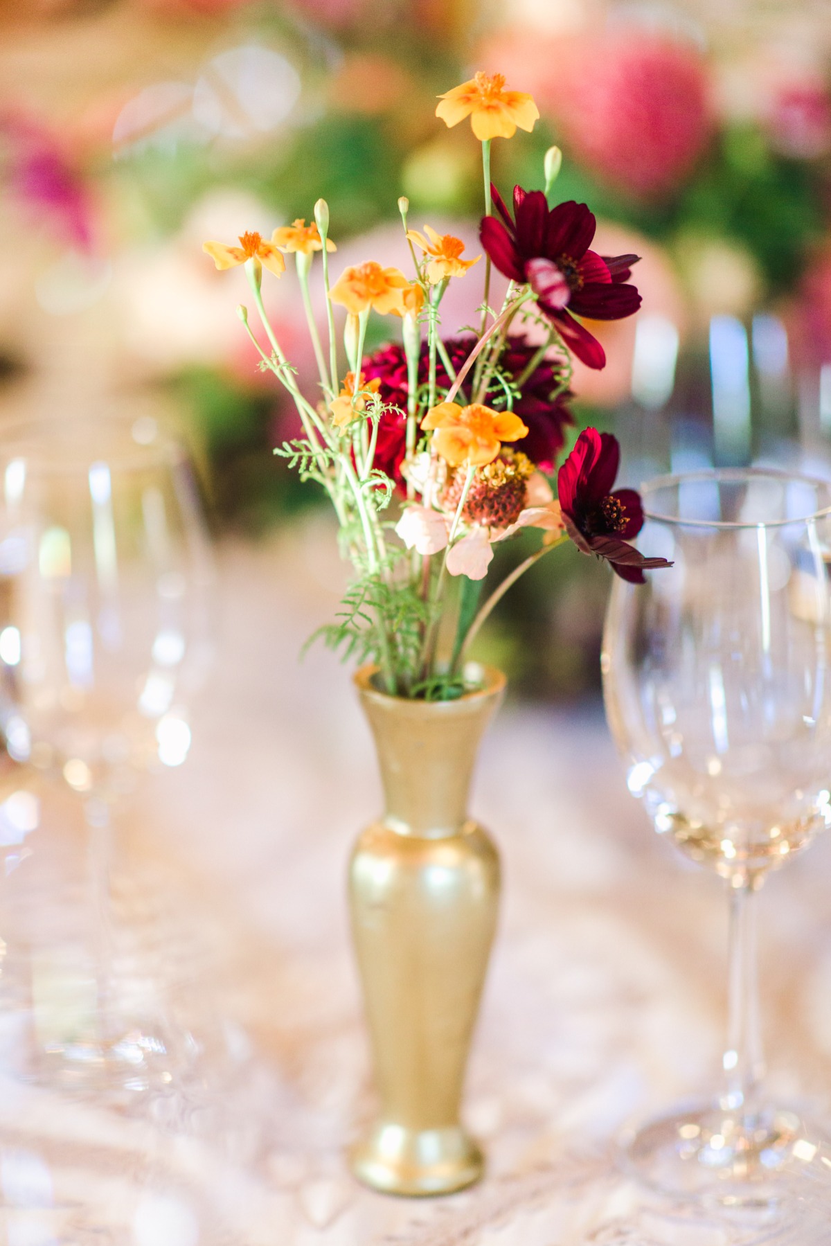 radha-razi-reception-18