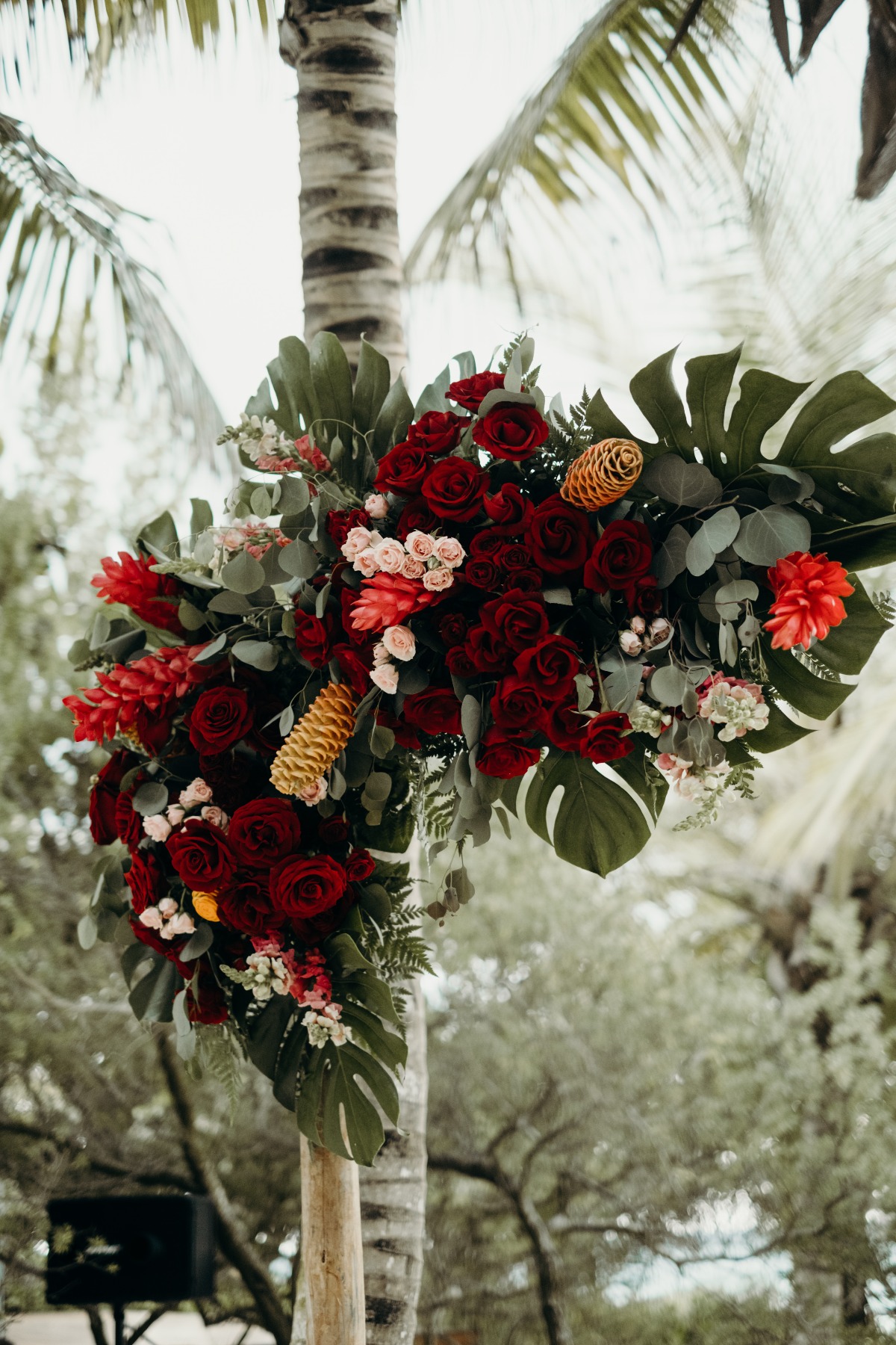sanaraweddingl_and_s2019-103