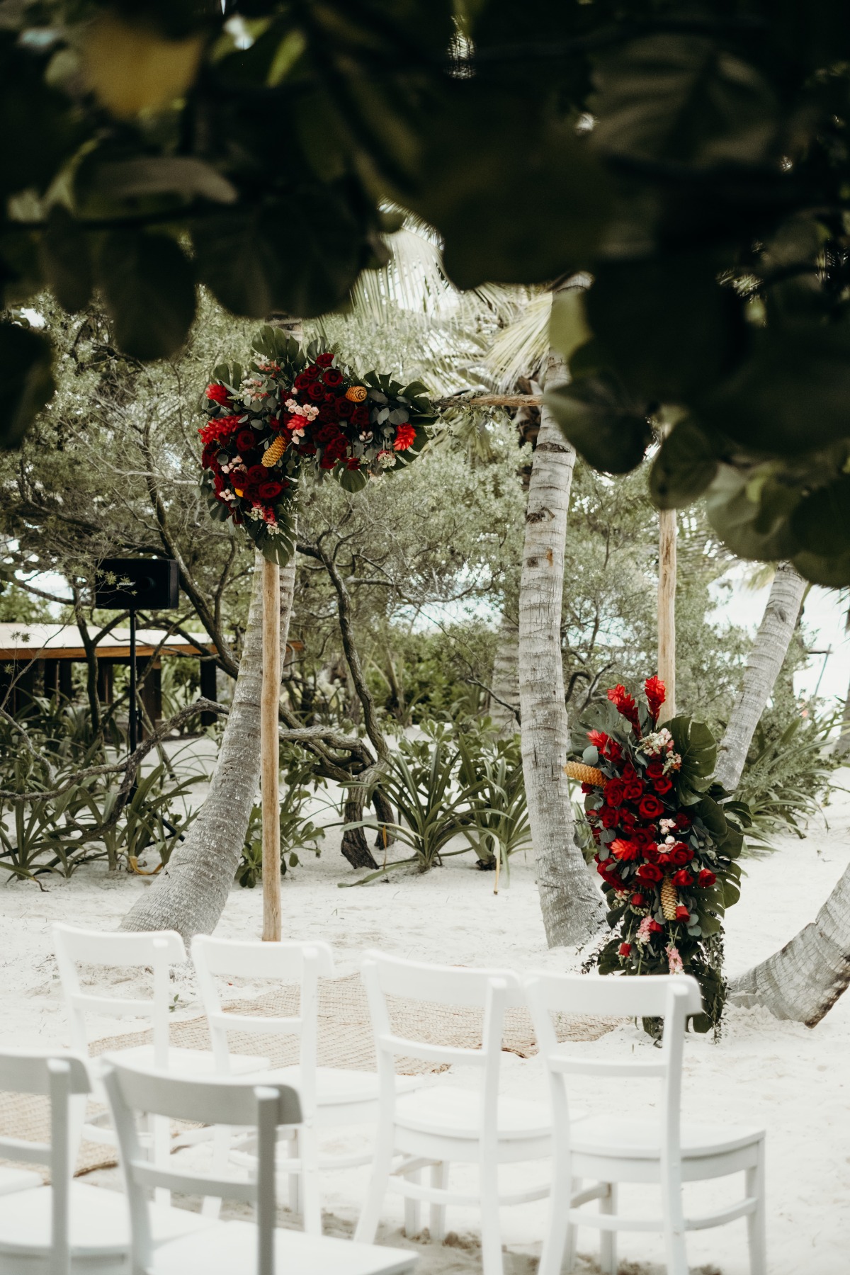 sanaraweddingl_and_s2019-105