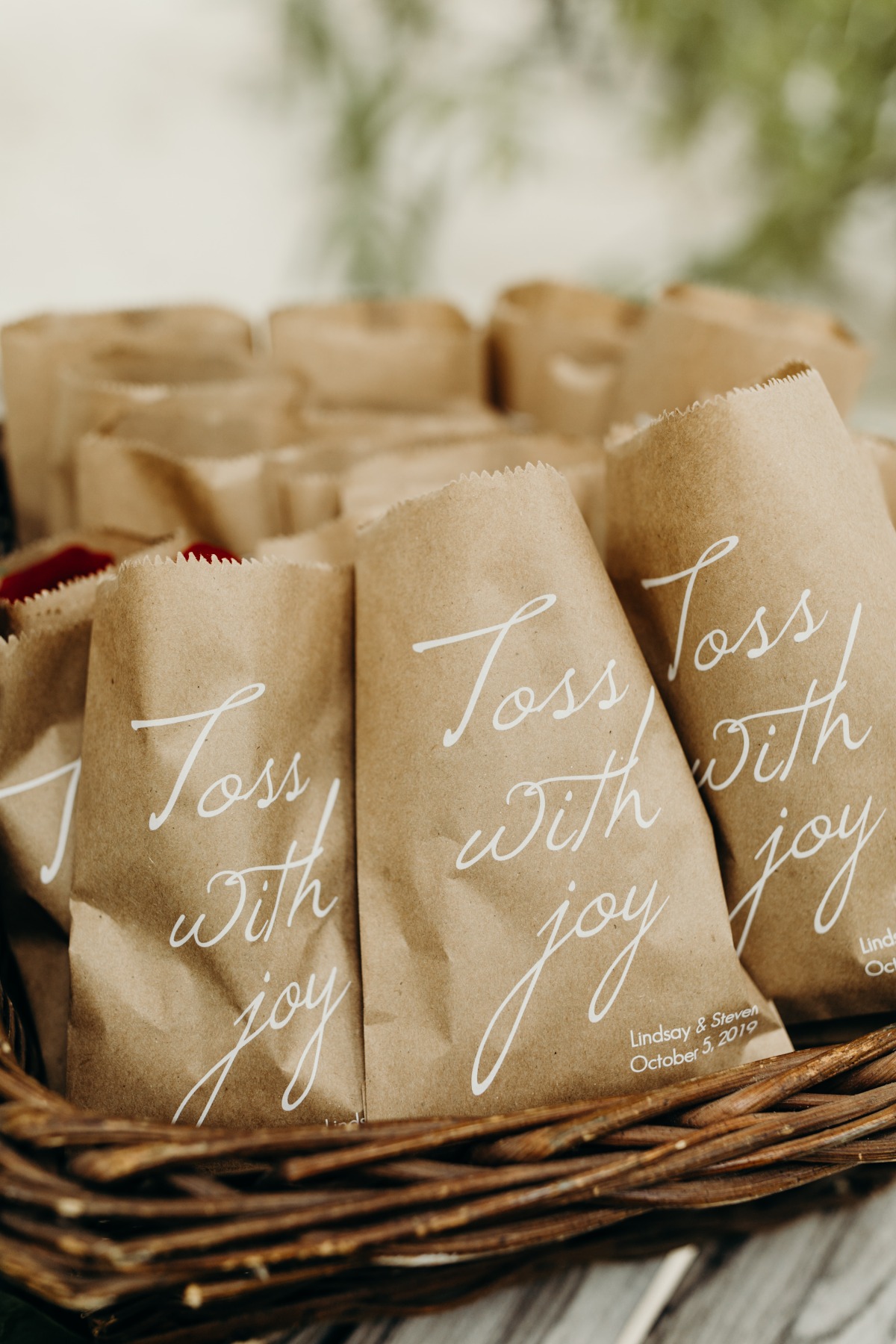 sanaraweddingl_and_s2019-61