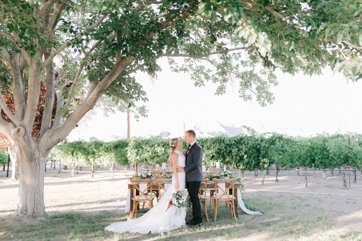 winery-in-the-las-vegas-desert-wedding-i