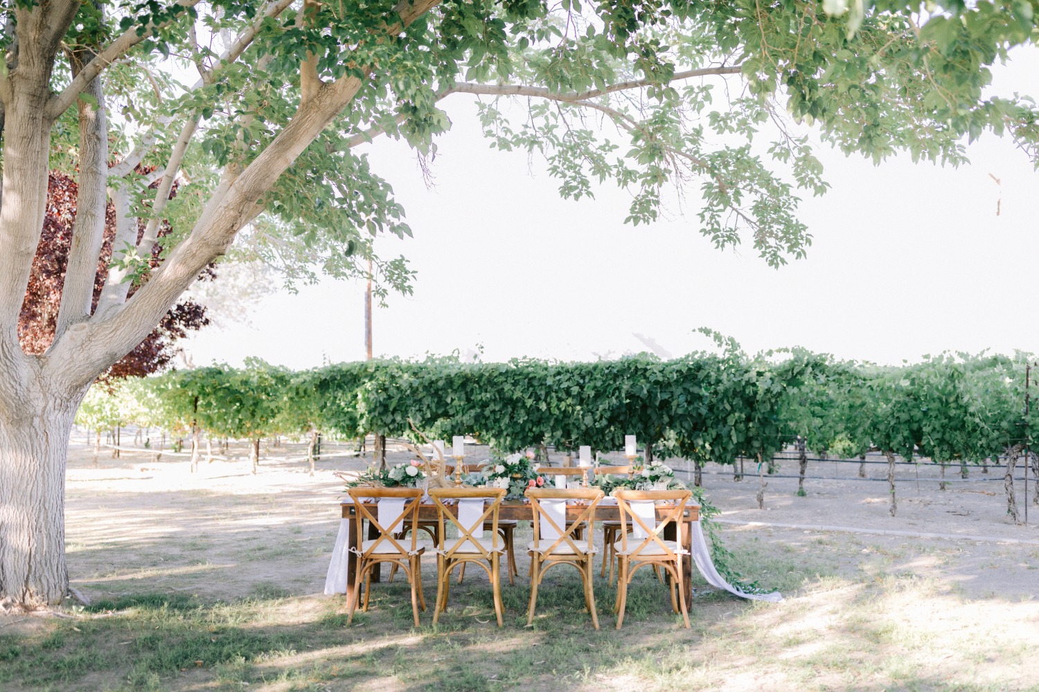 winery-in-the-las-vegas-desert-wedding-i