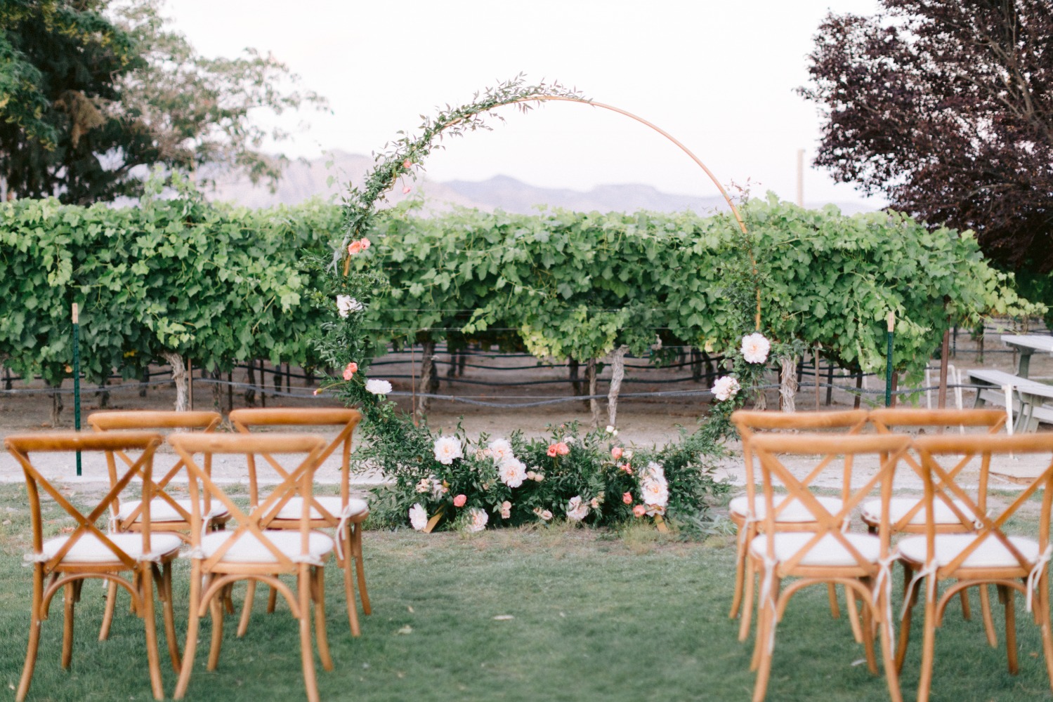 winery-in-the-las-vegas-desert-wedding-i