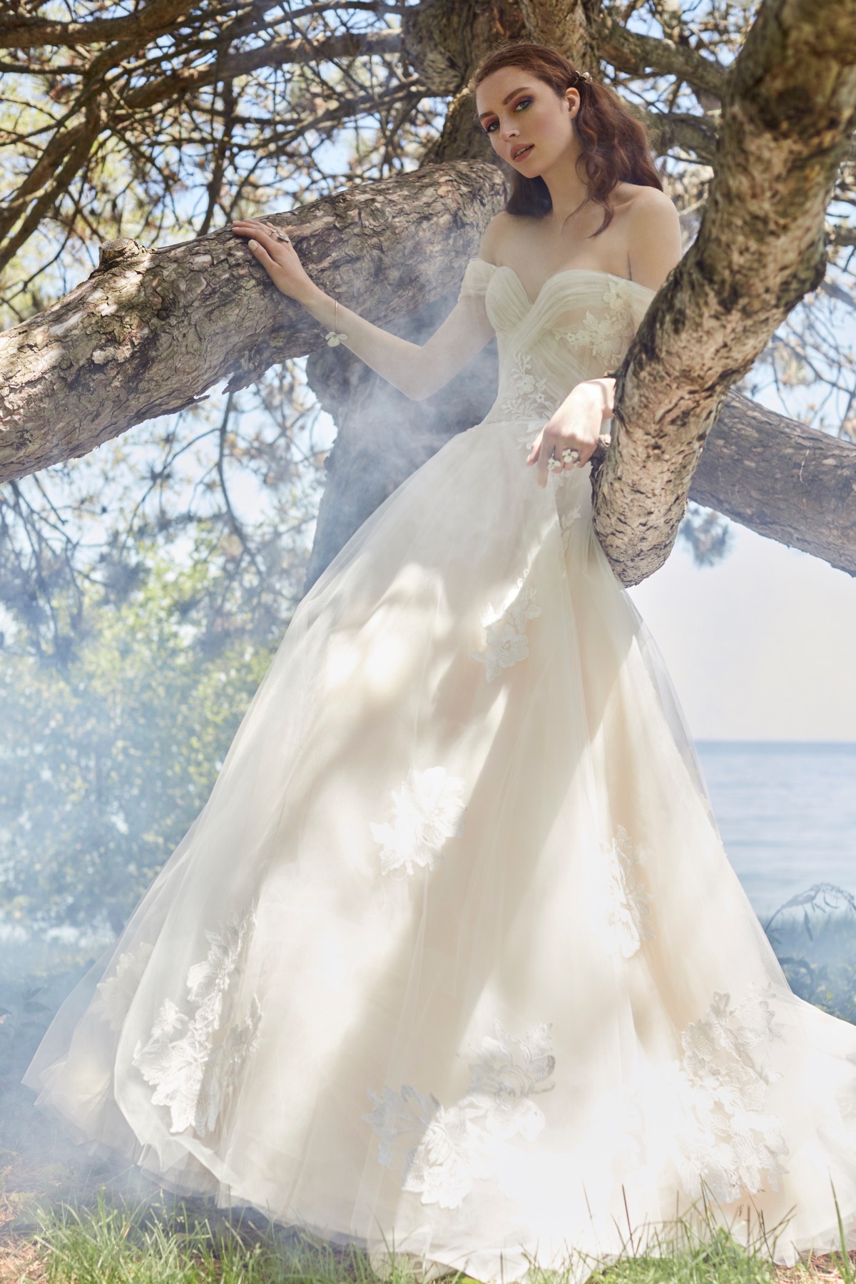 5-amarylis_front_ines-di-santo