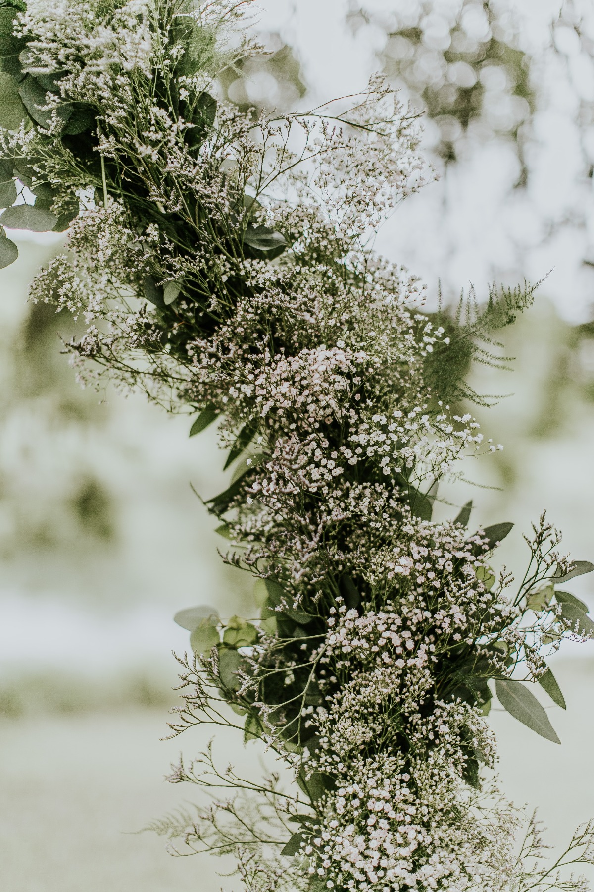 baby's breath and greenery used on floral hoop