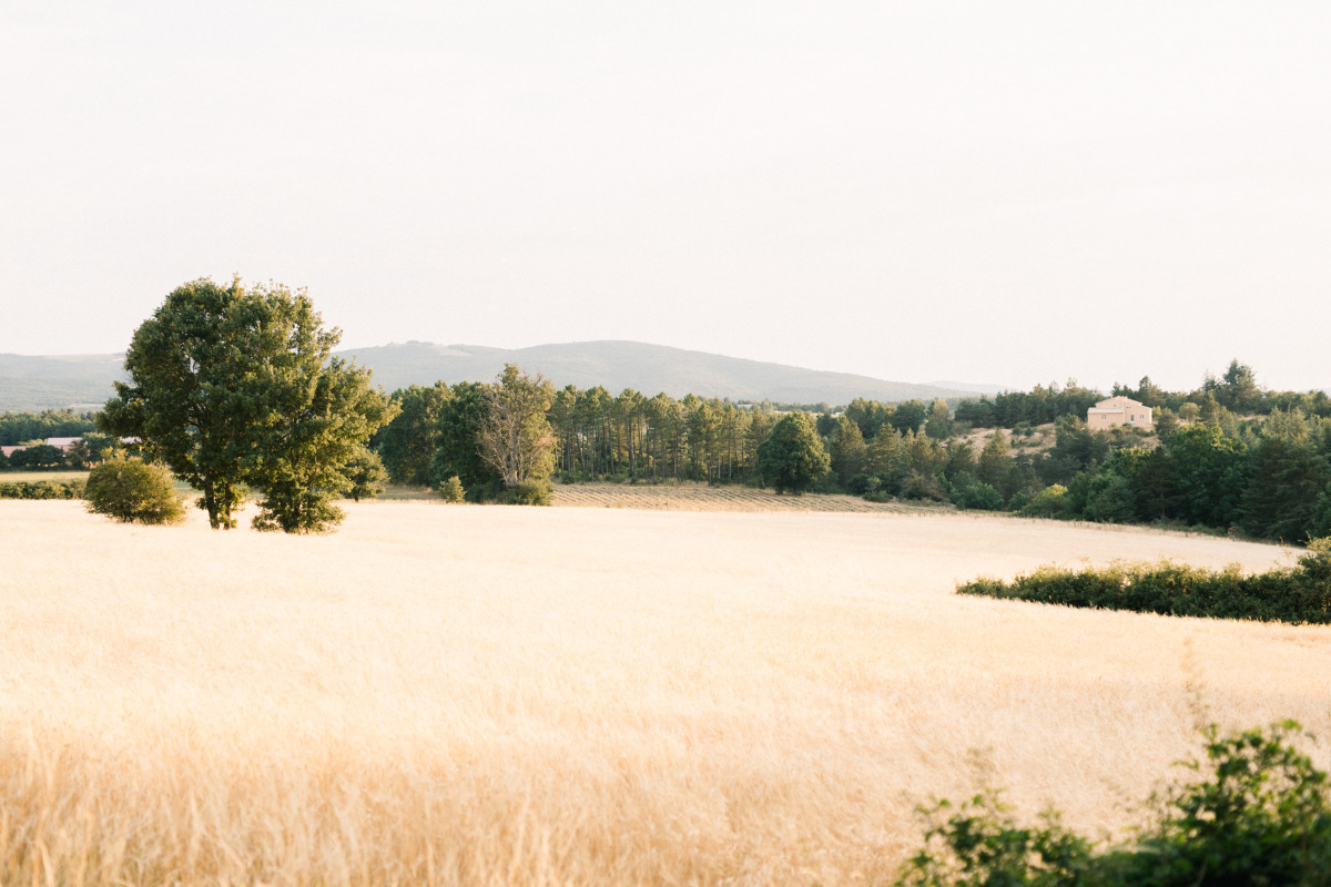 engagement-session-provence-lavender-59