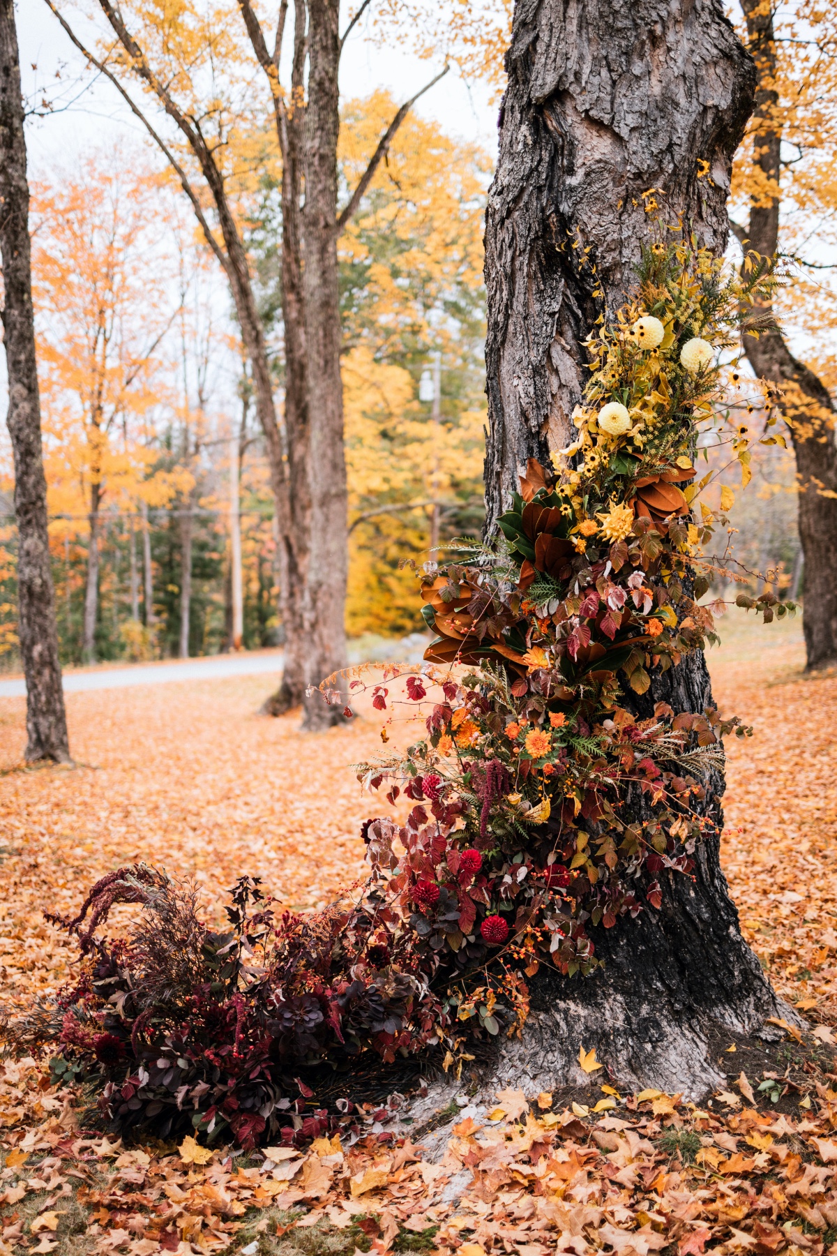 beautifully decorated tree for Fall wedding