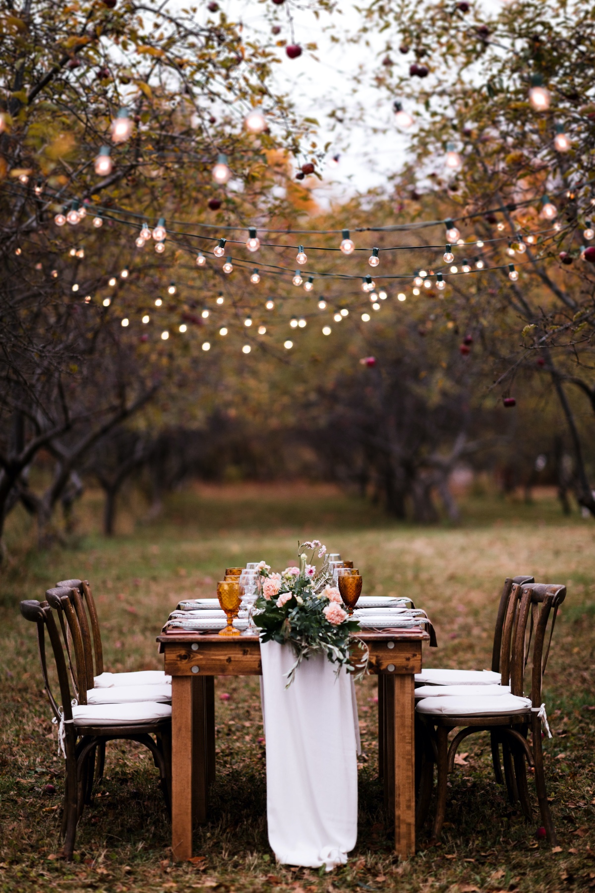 Outdoor dining in apple orchard under twinkle lights