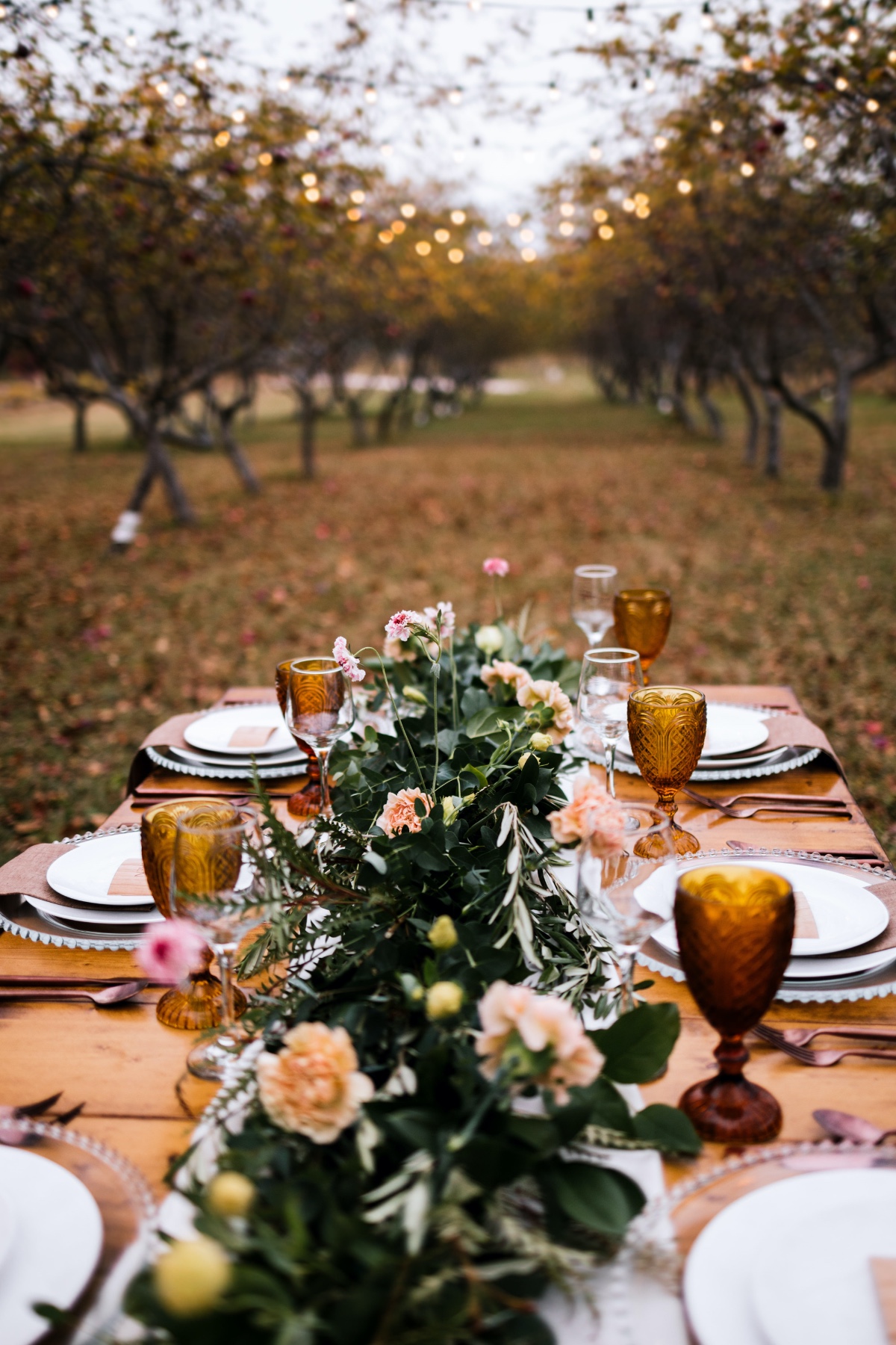 Outdoor dining in apple orchard under twinkle lights