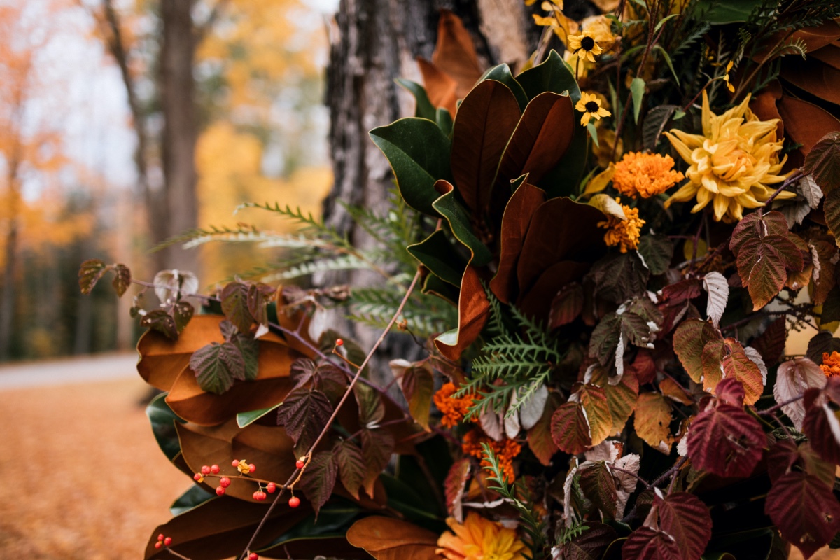 maple-rock-styled-vow-renewal-jessie-fel