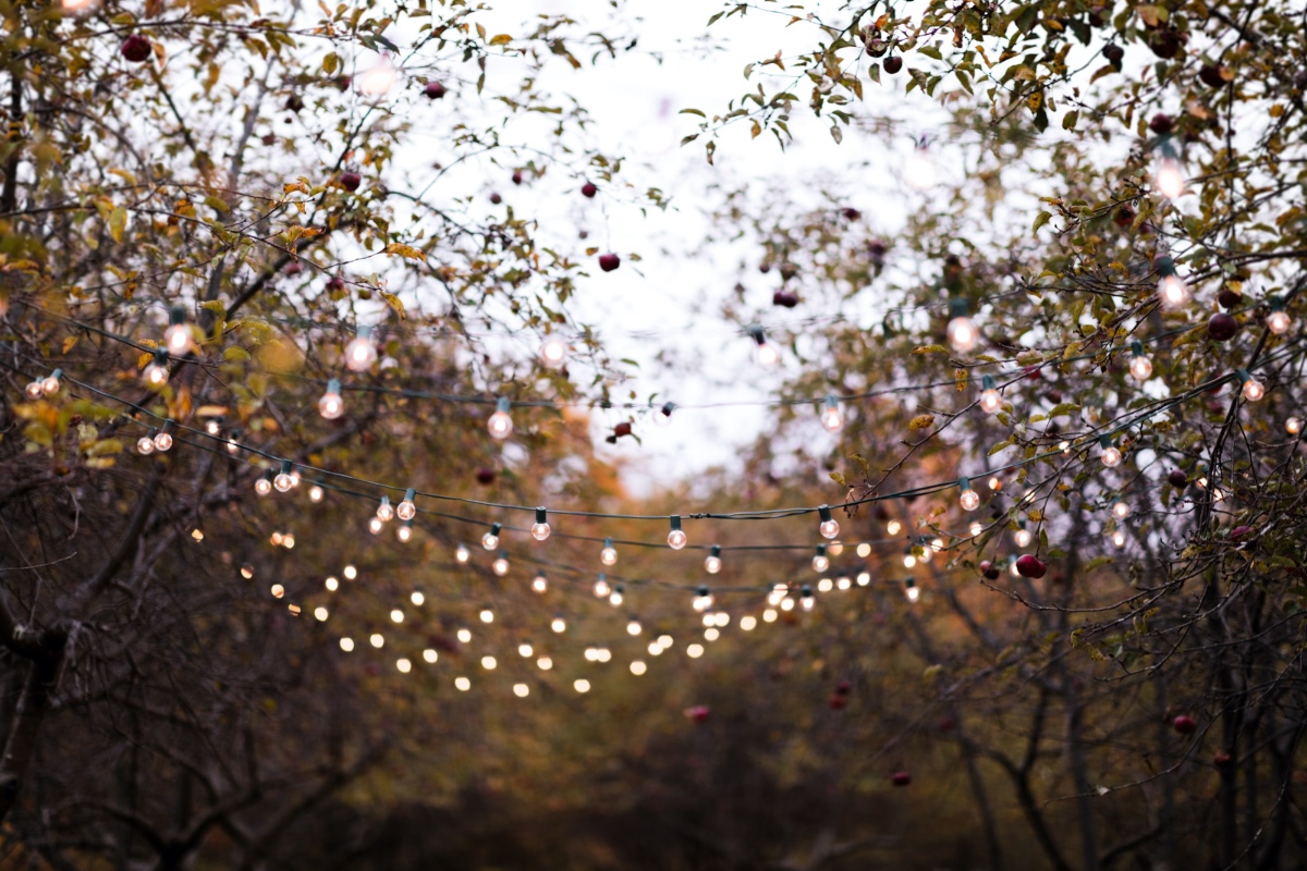 maple-rock-styled-vow-renewal-jessie-fel