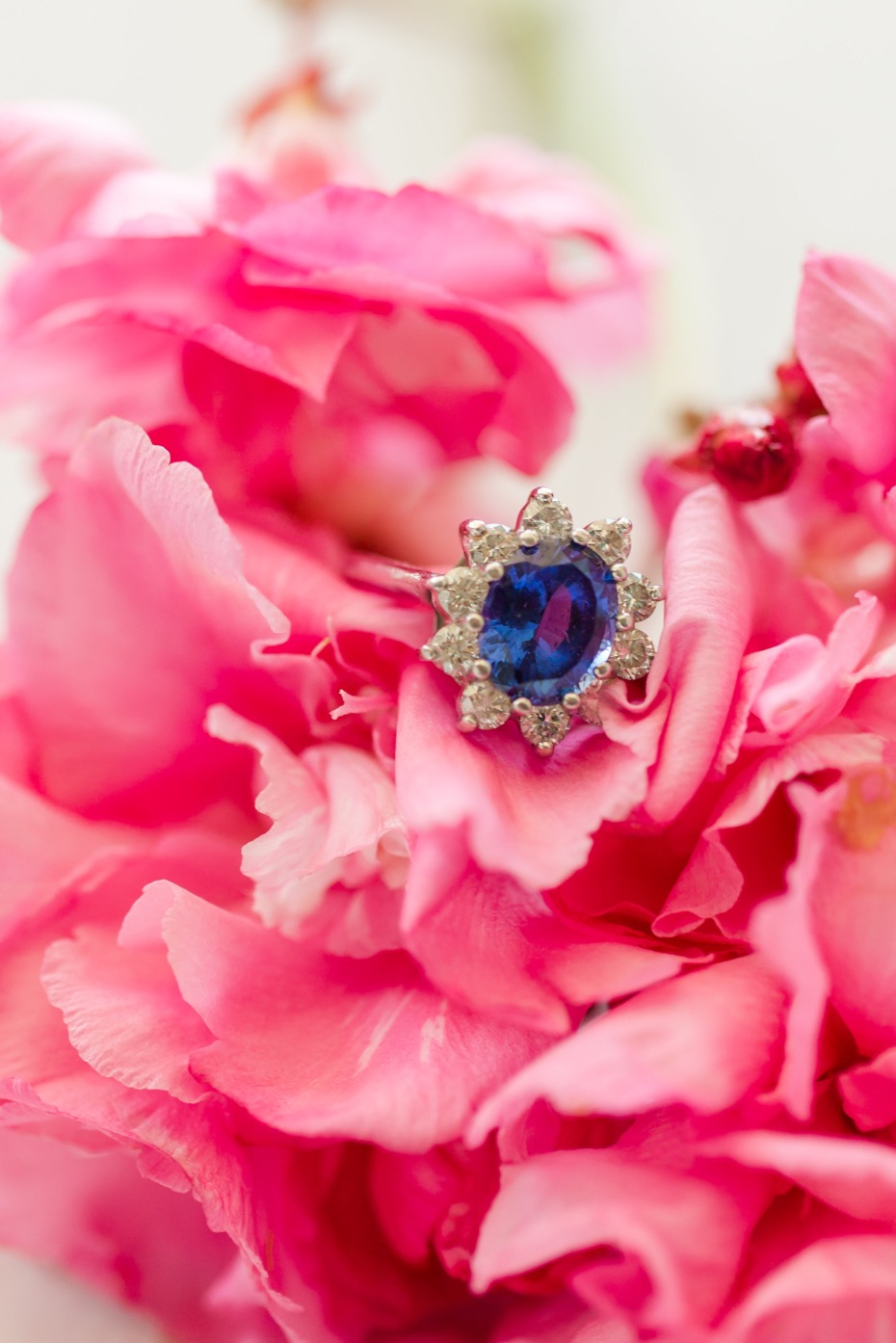 Blue sapphire ring surrounded by pink flower petals