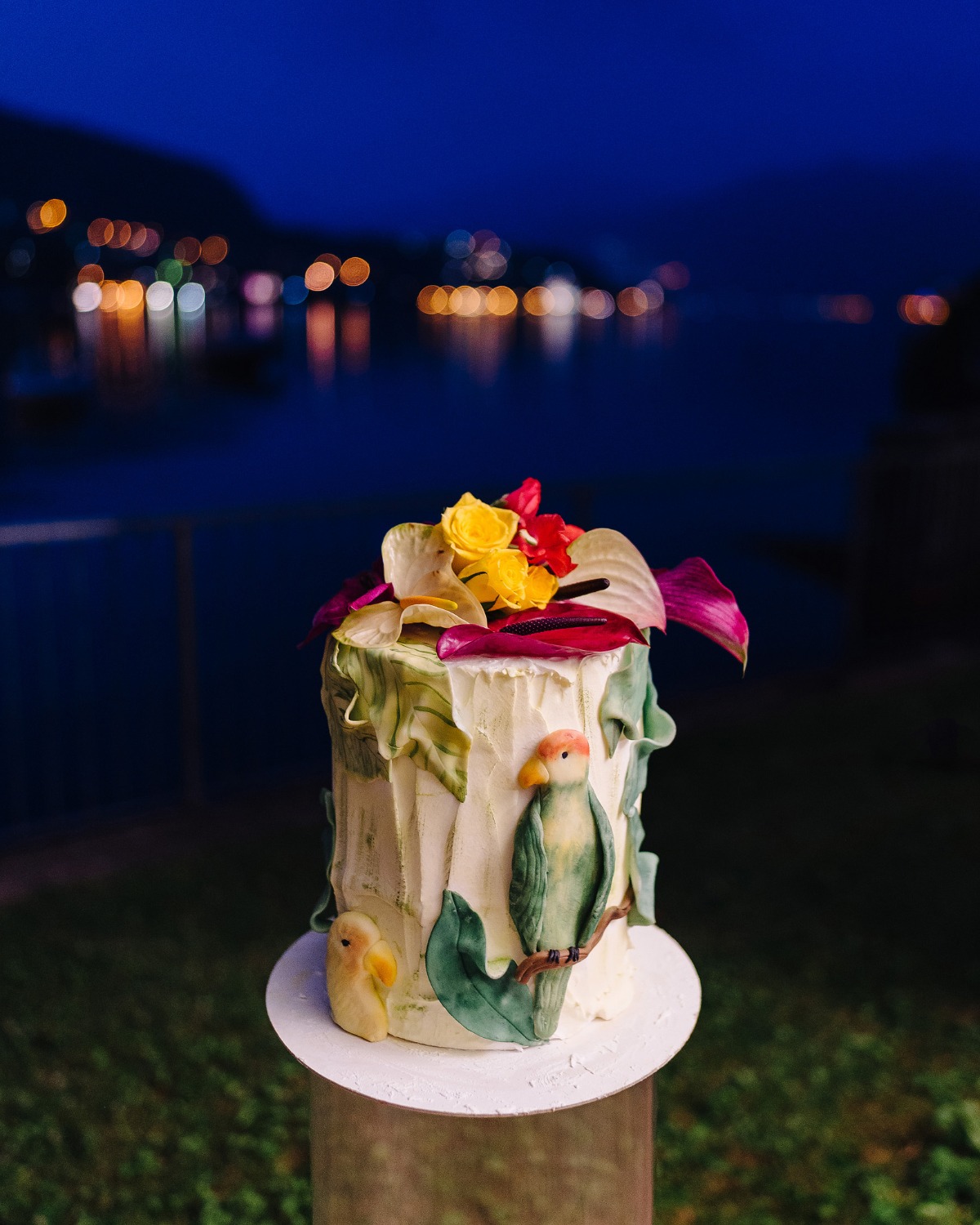 parrot wedding cake