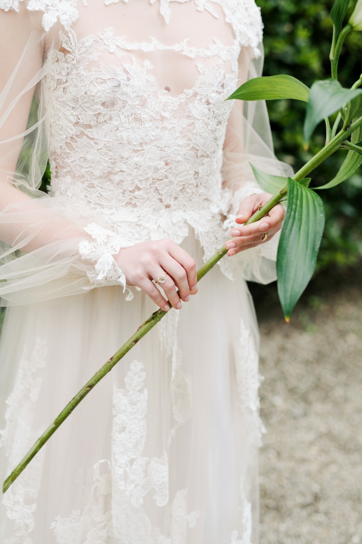 wedding lillies