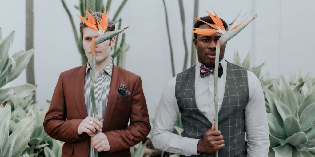 Crazy Plant Lovers Wedding at a South African Wedding Venue