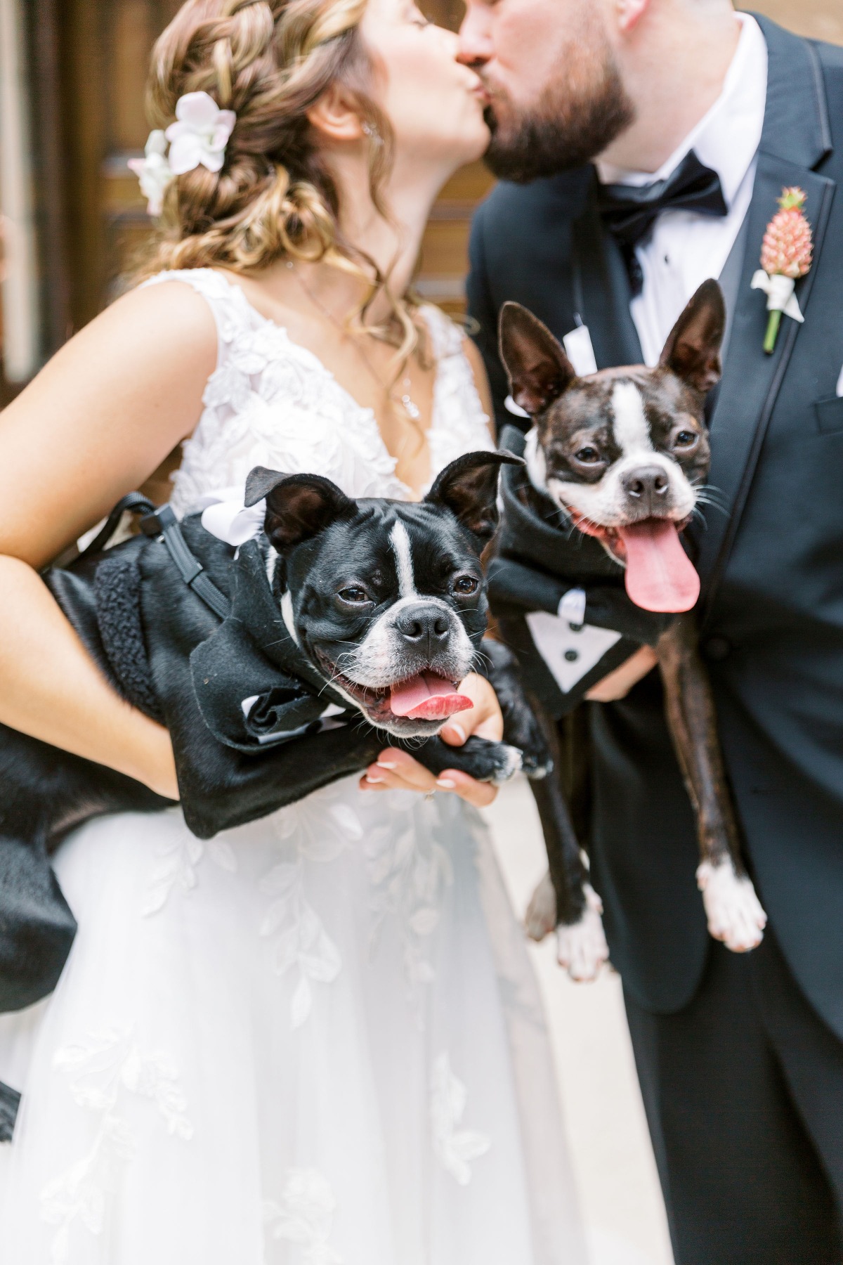 5 Tips for Your Dog of Honor on Wedding Day From FairyTail Pet Care