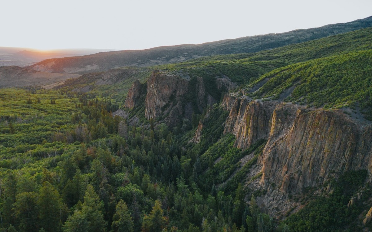 dji_0366-1