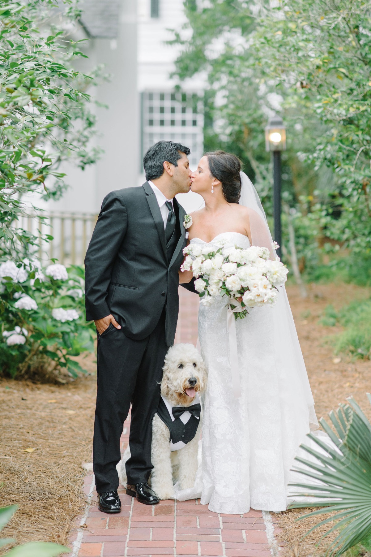 bride and groom with dog photo