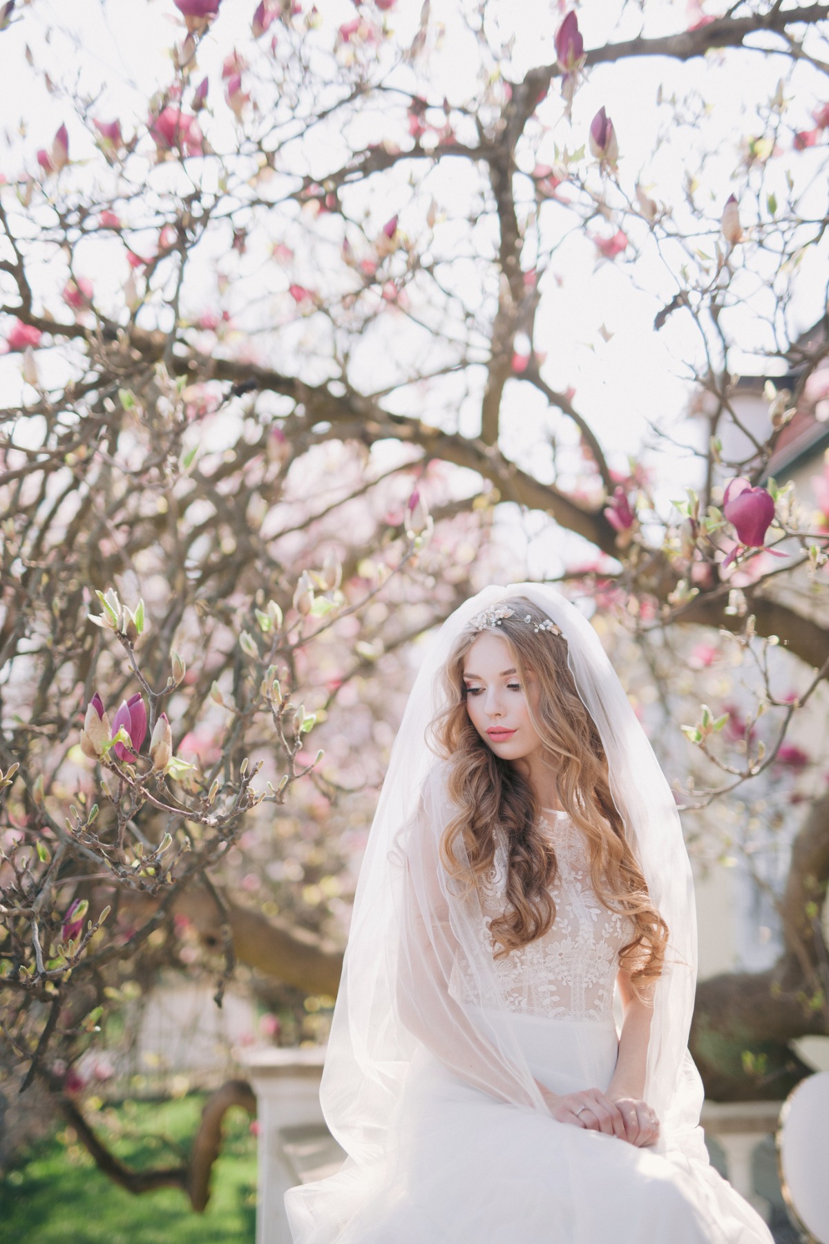 magnolia_editorial014