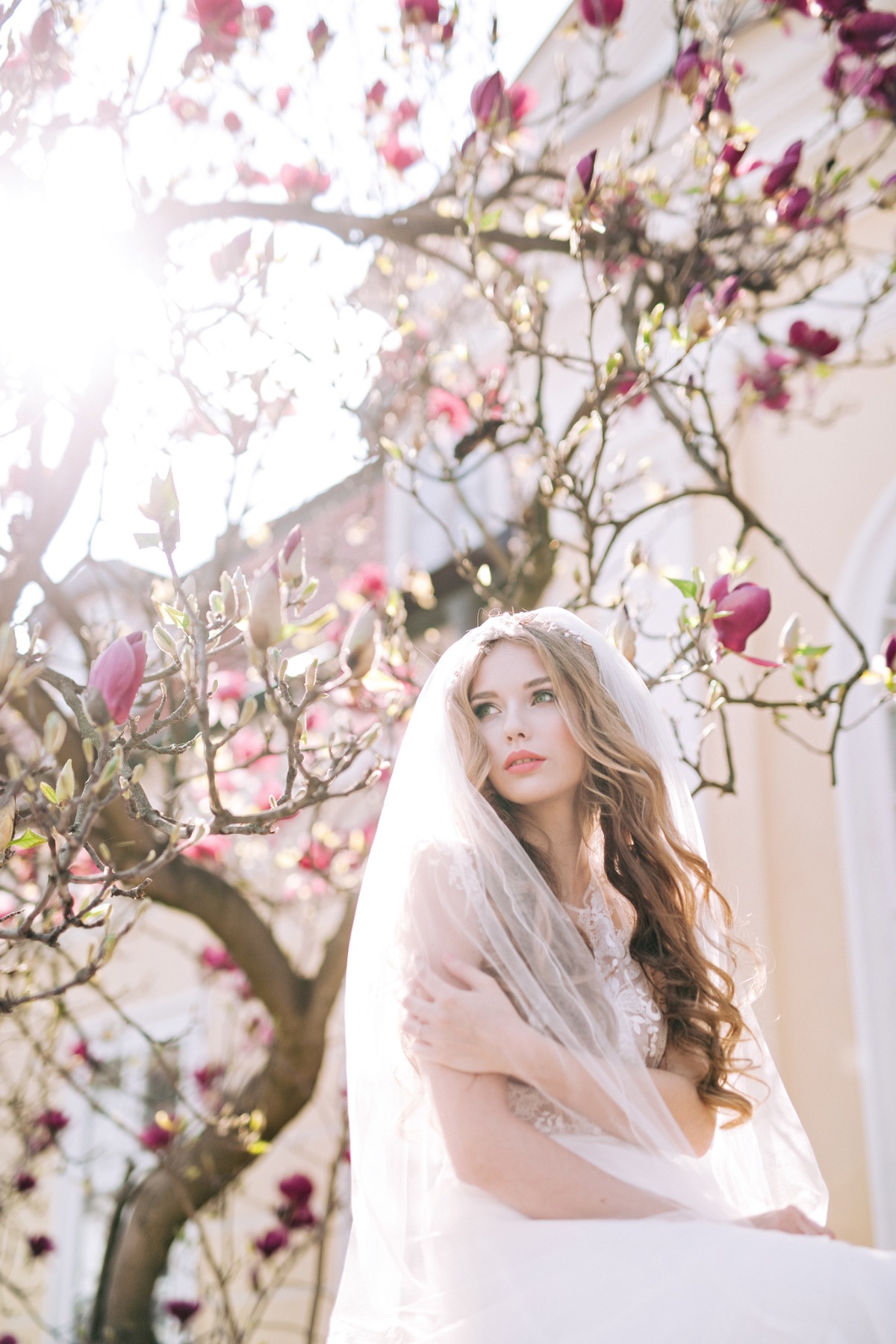 magnolia_editorial015