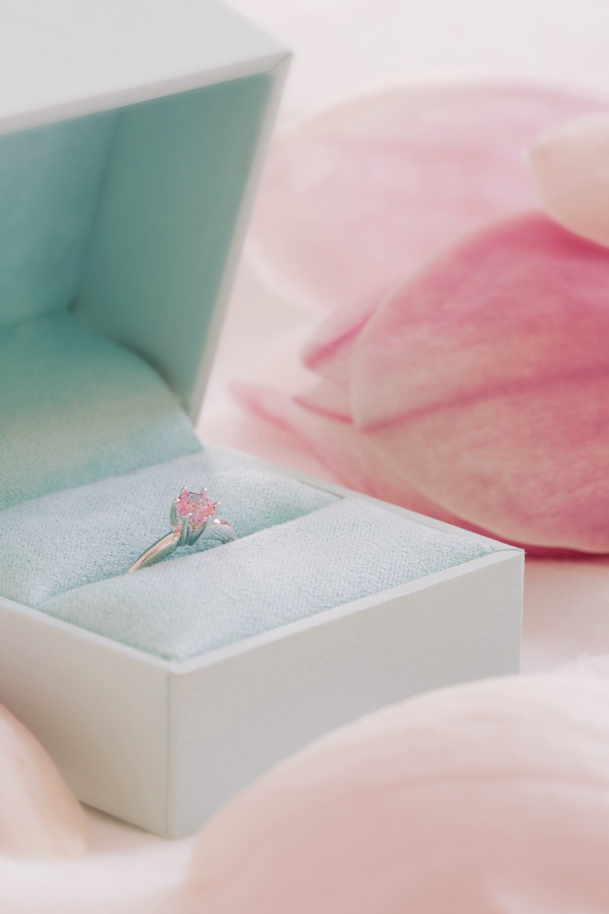 magnolia_editorial051