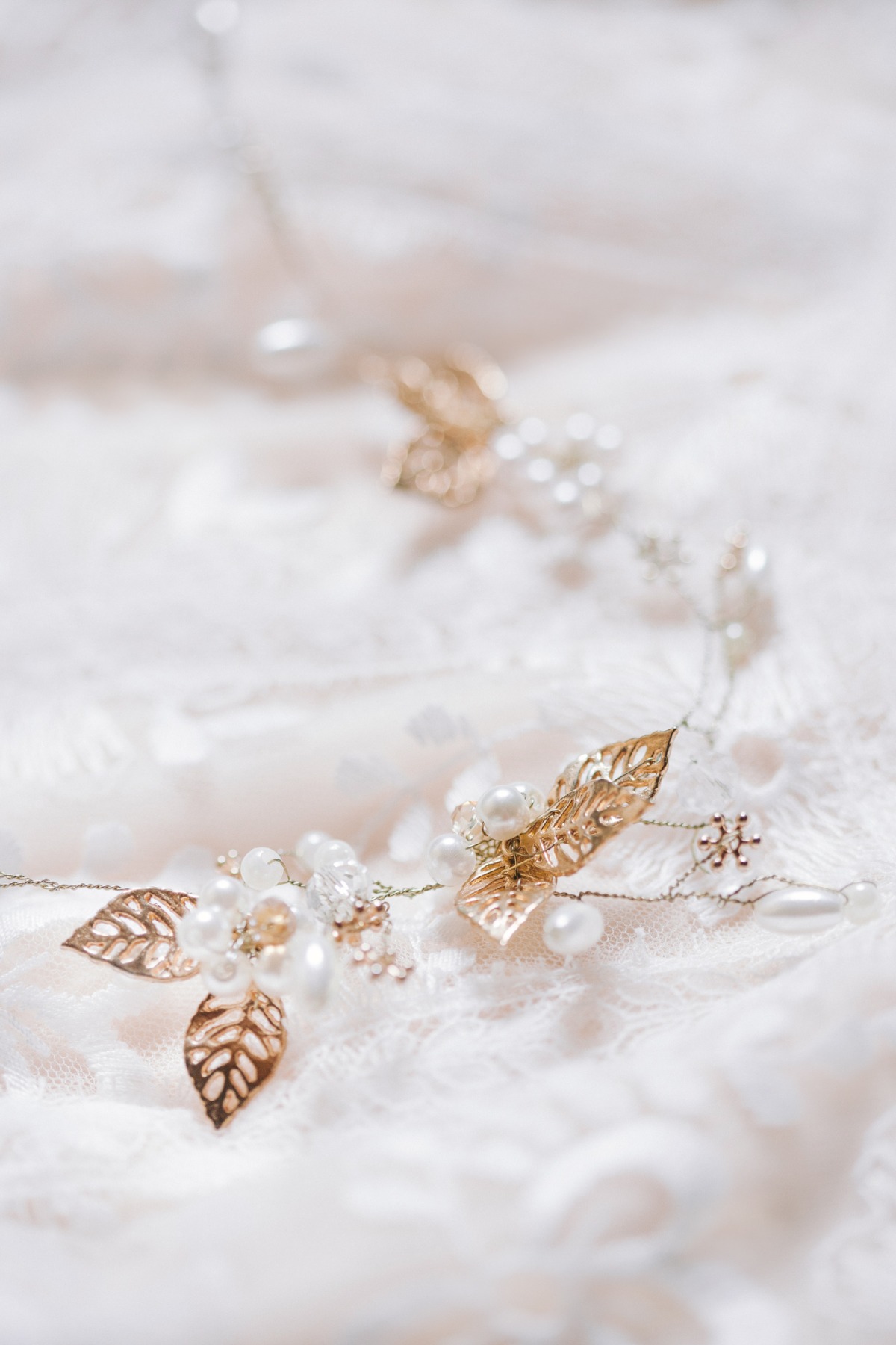 magnolia_editorial057