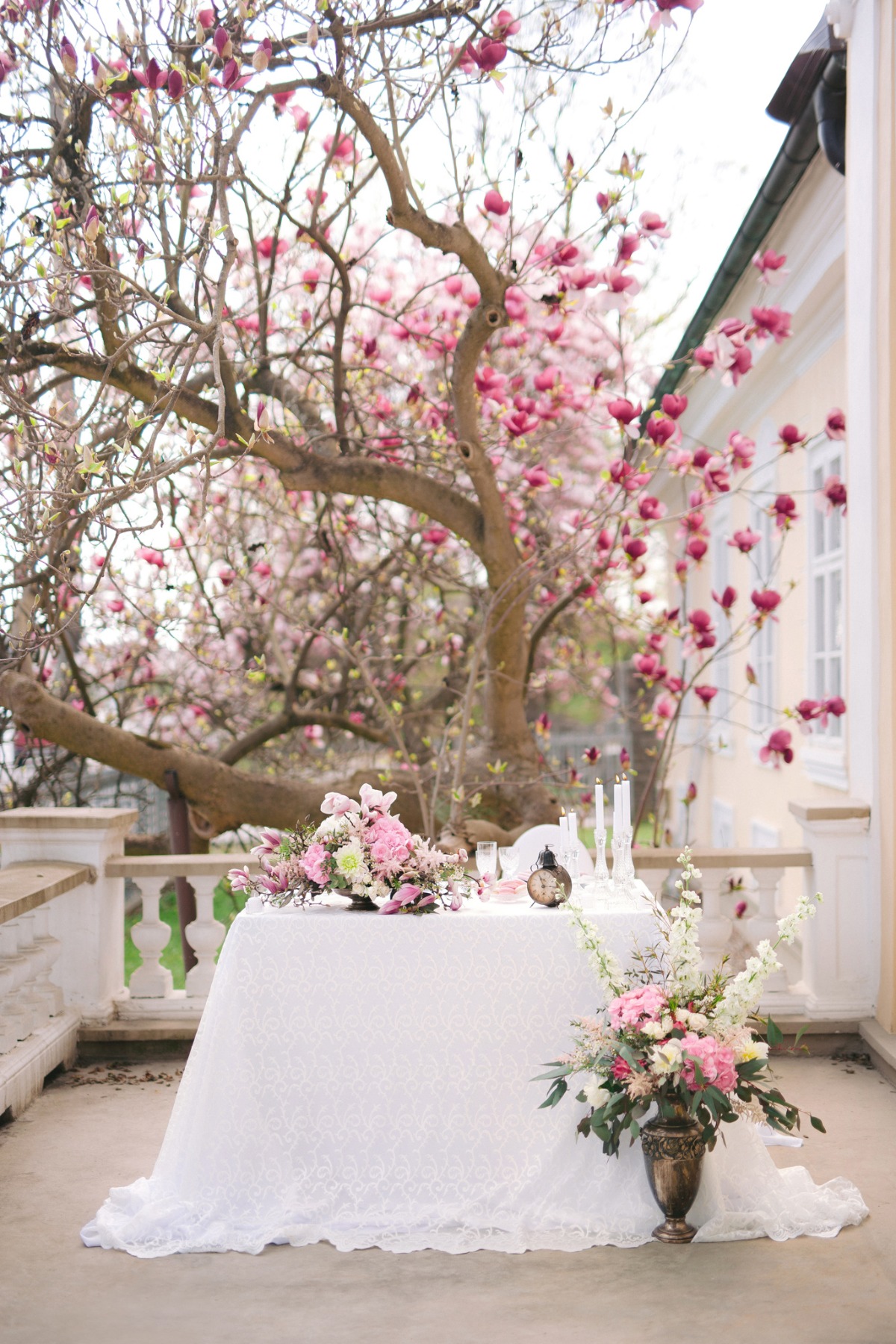 magnolia_editorial059