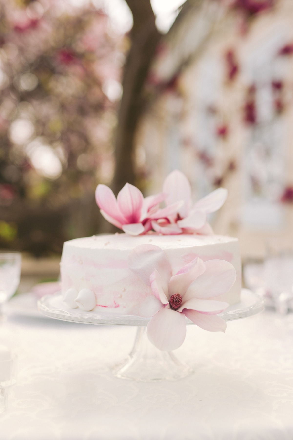 magnolia_editorial078