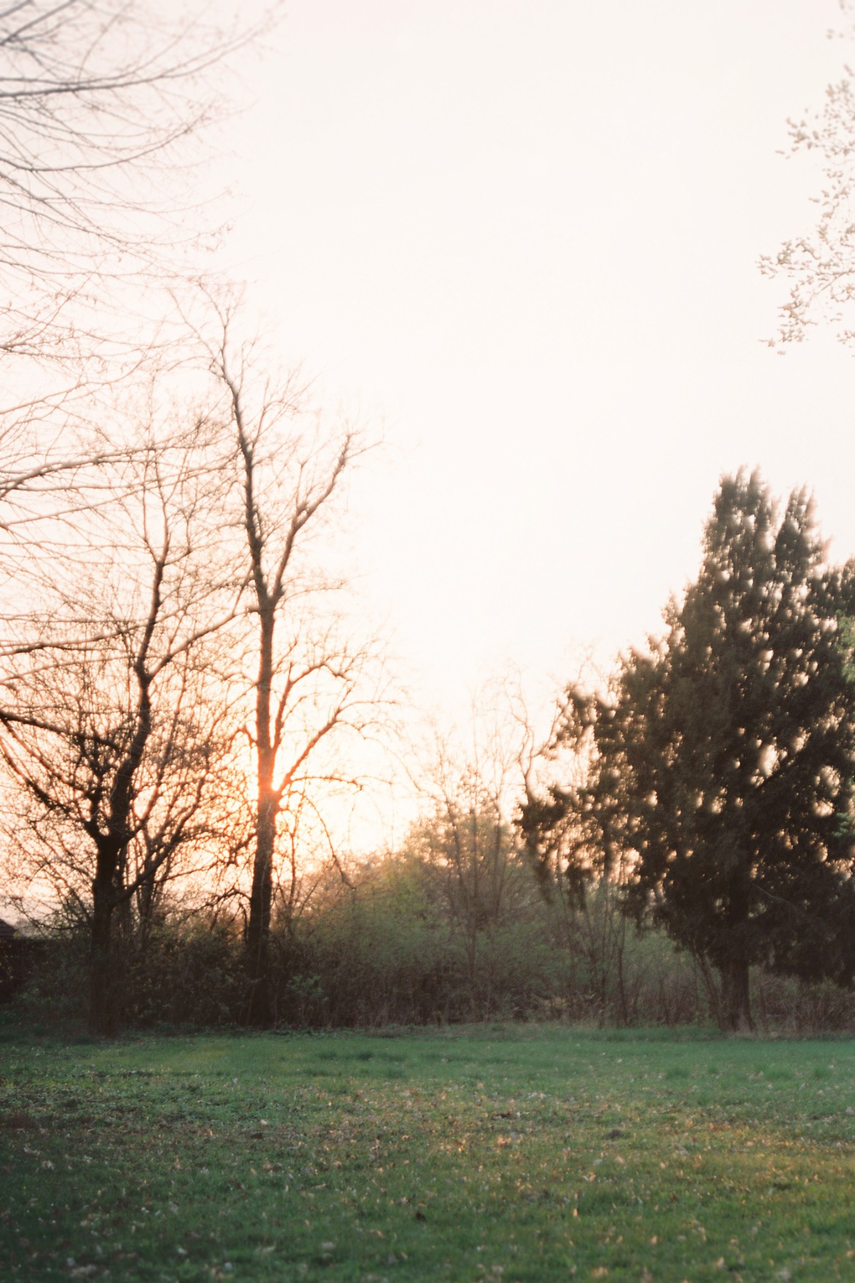 magnolia_editorial086