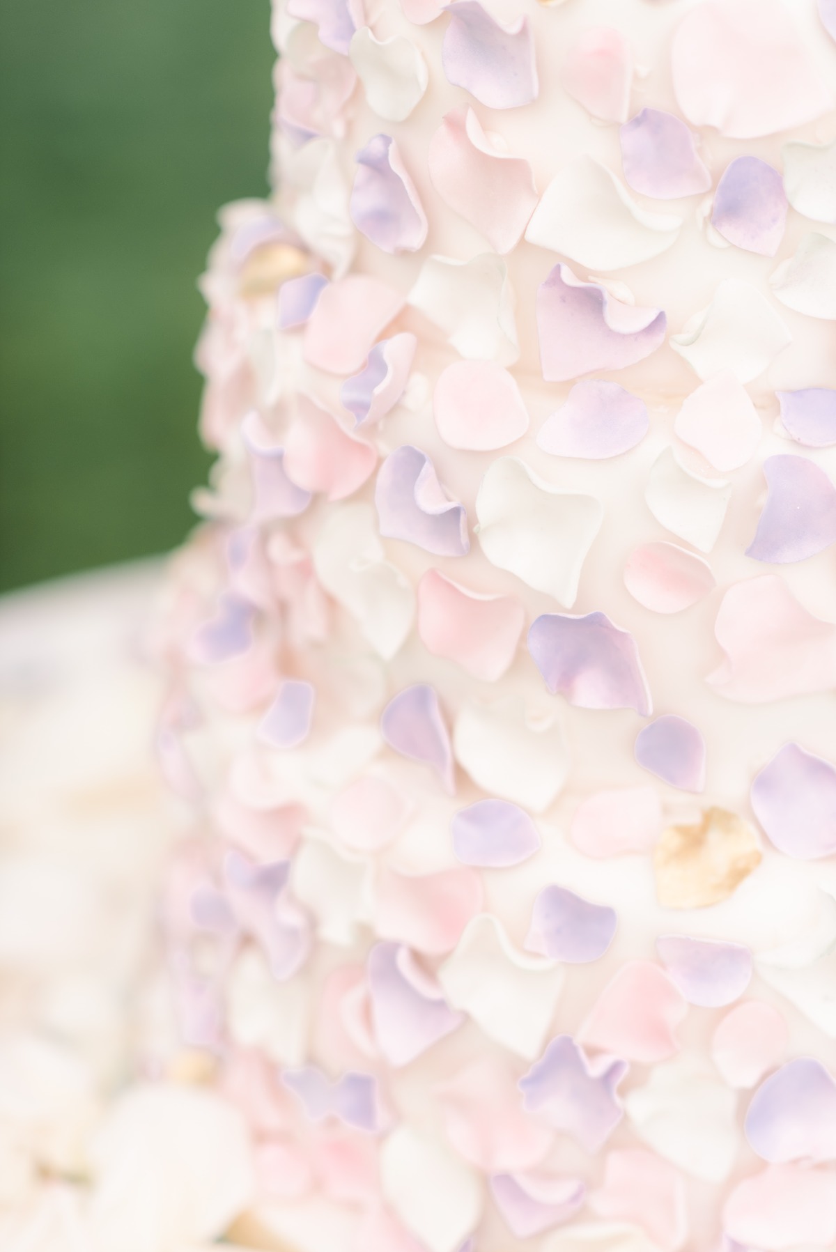 sara_and_will-nkima-photography2019-421