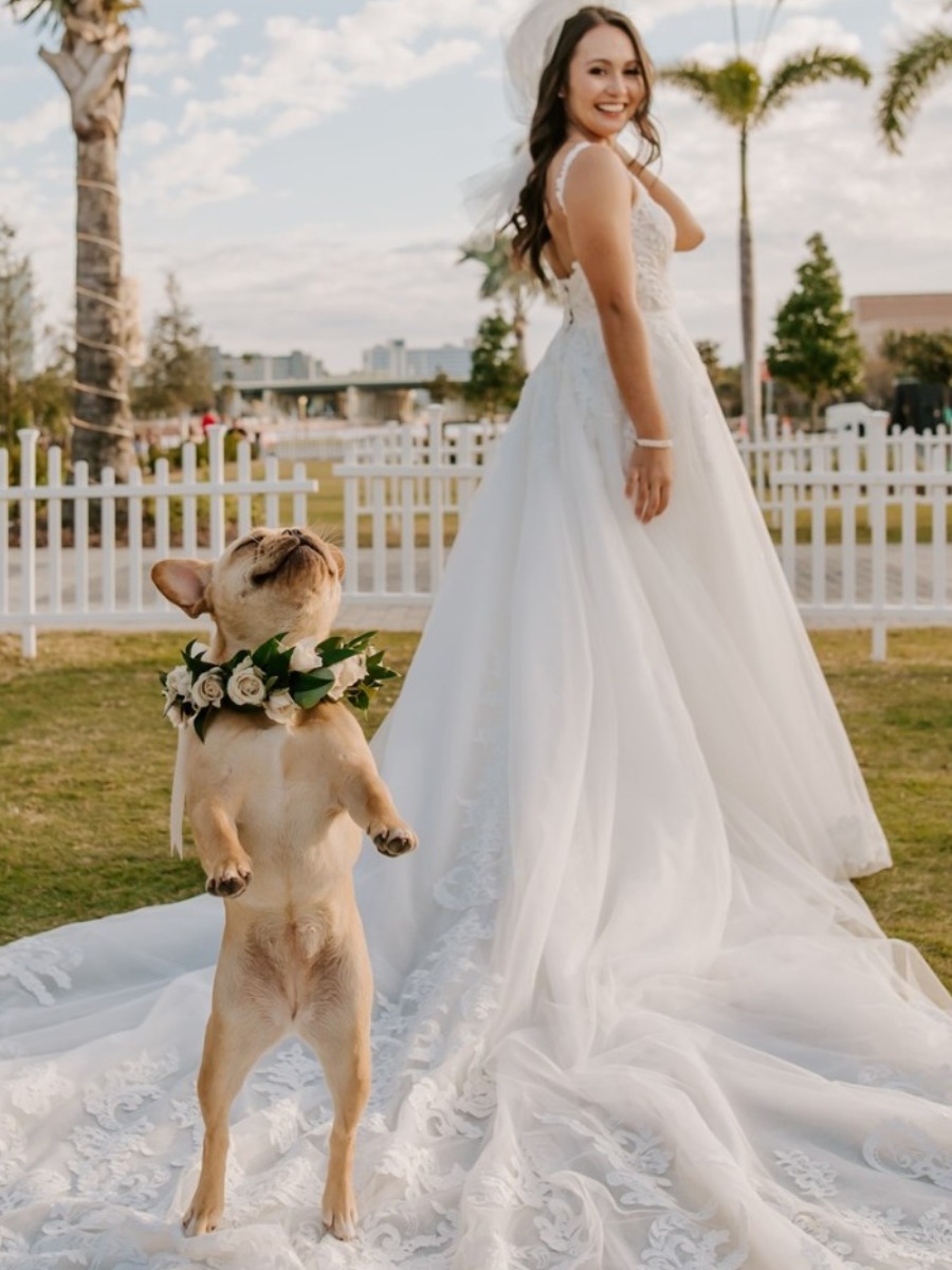 5 Tips for Your Dog of Honor on Wedding Day From FairyTail Pet Care