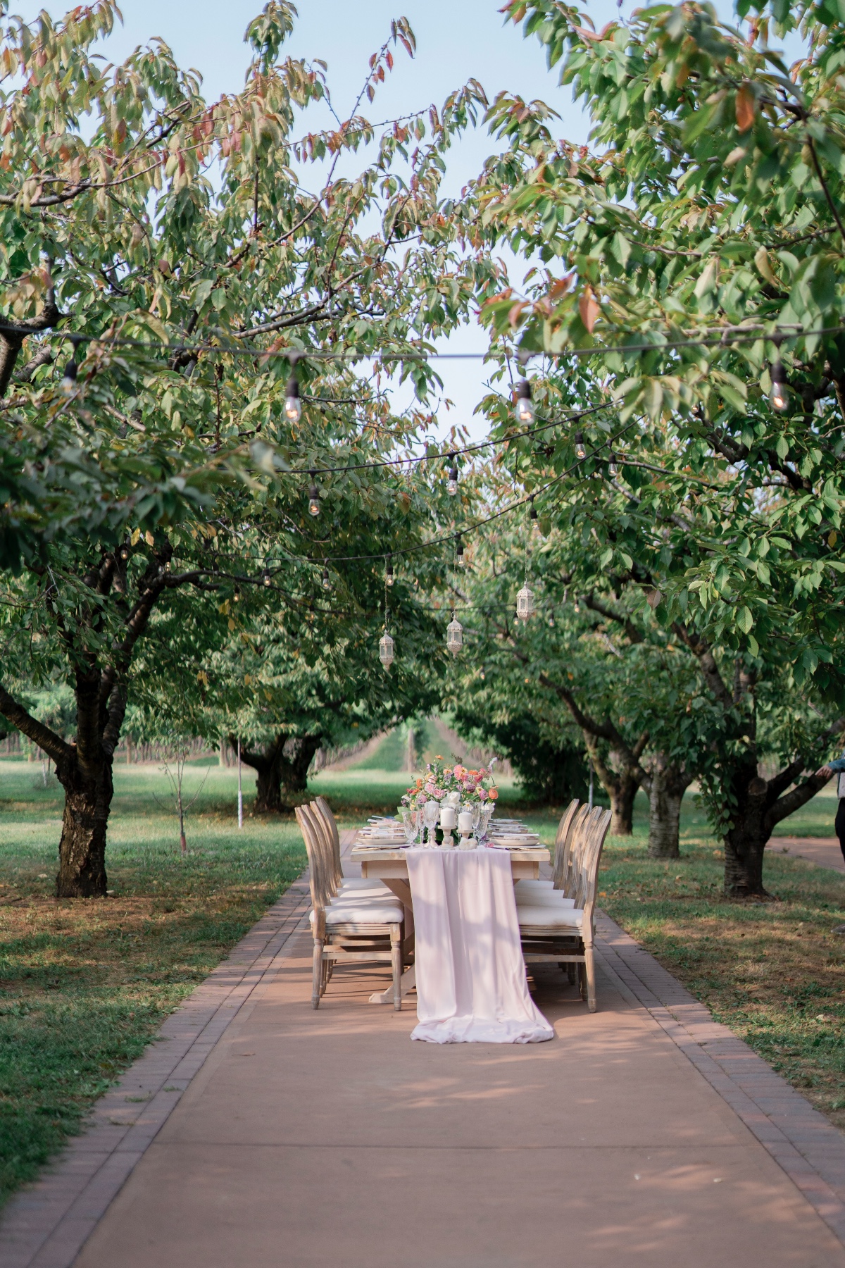 0879kurtzorchardwedding-bethjacobslisavi