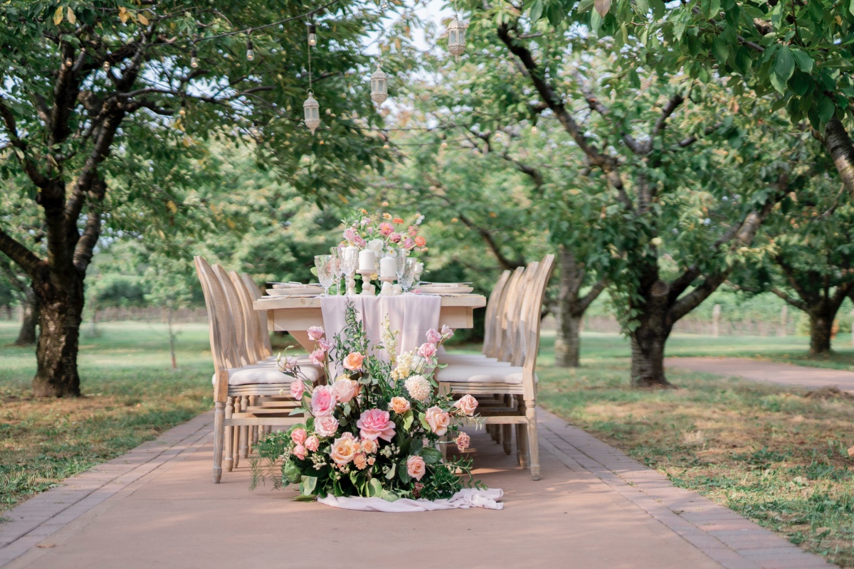 0900kurtzorchardwedding-bethjacobslisavi