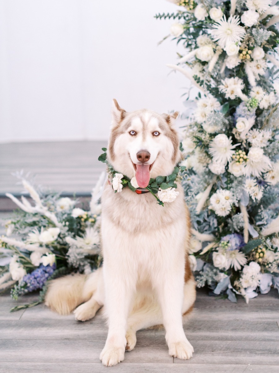 Blue and Silver Winter Wonderland Wedding Inspiration