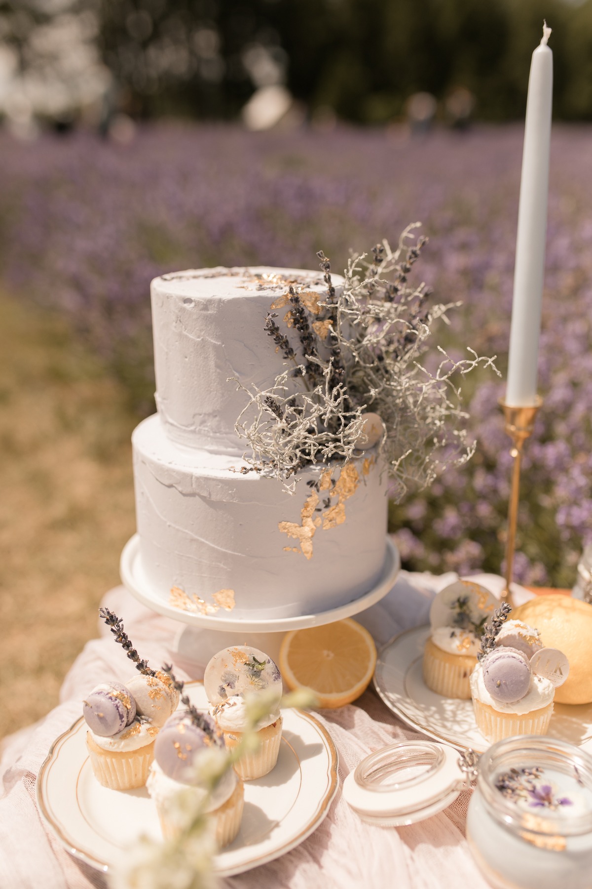 kerstin-hahn-photography-lavender-10
